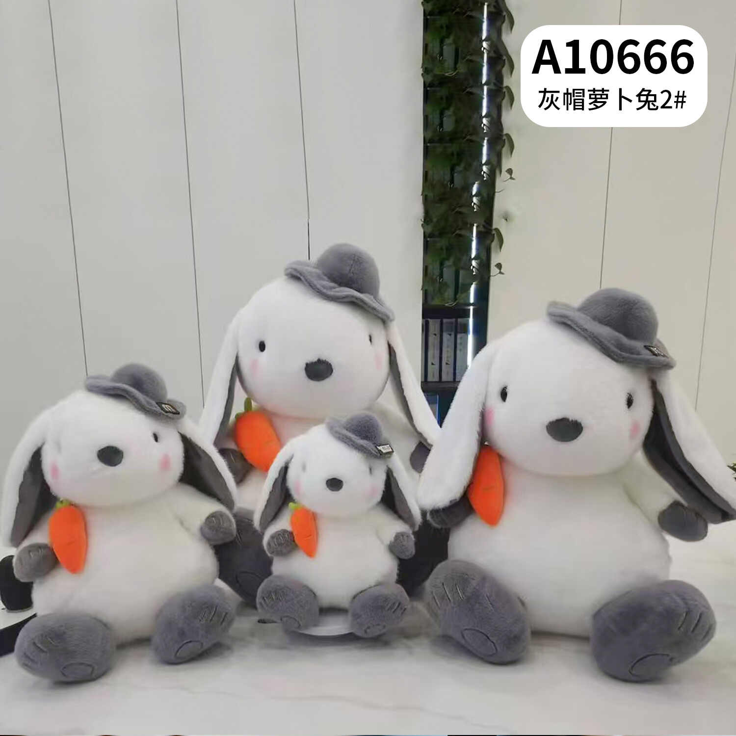 A10666