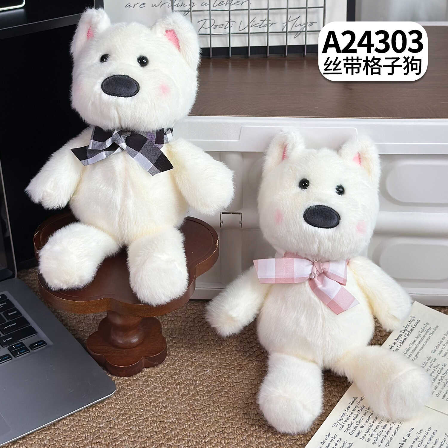 A24303