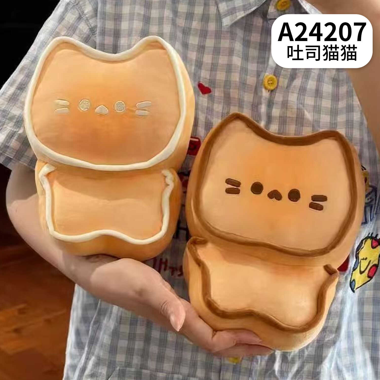 A24207