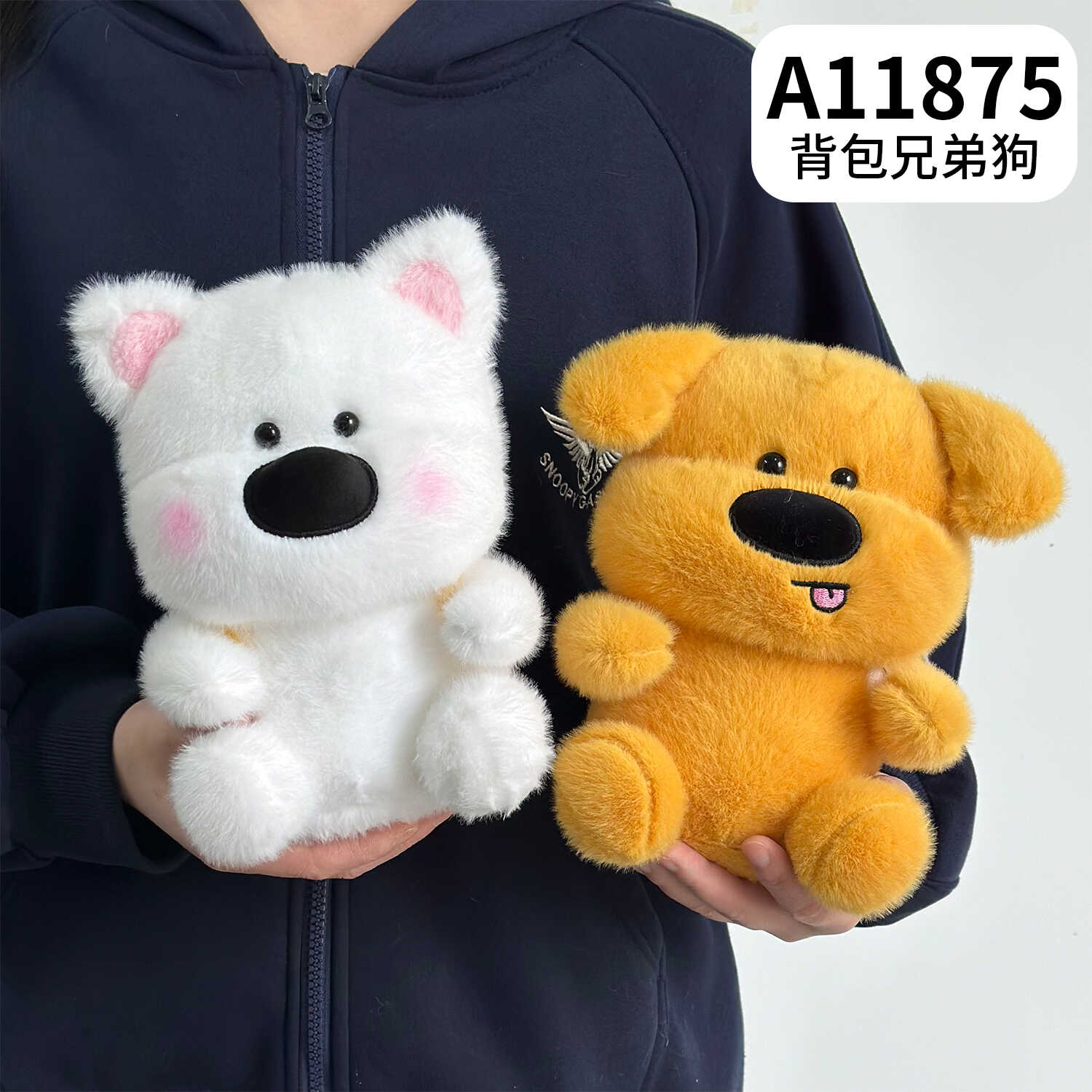 A11875