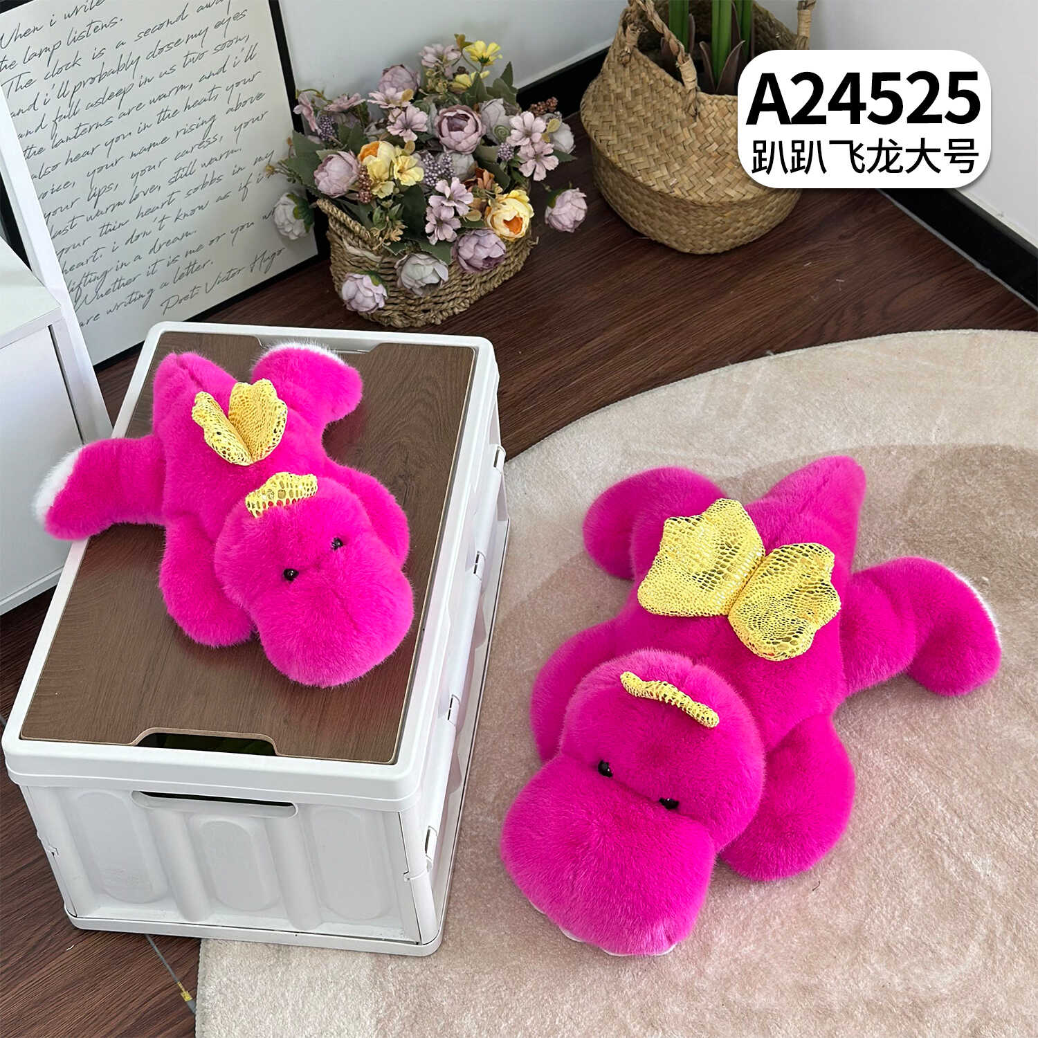 A24525