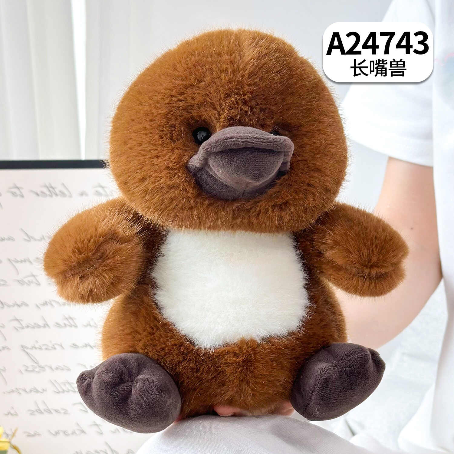 A24743