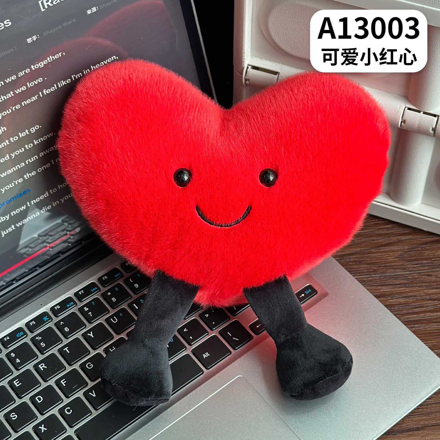 A13003