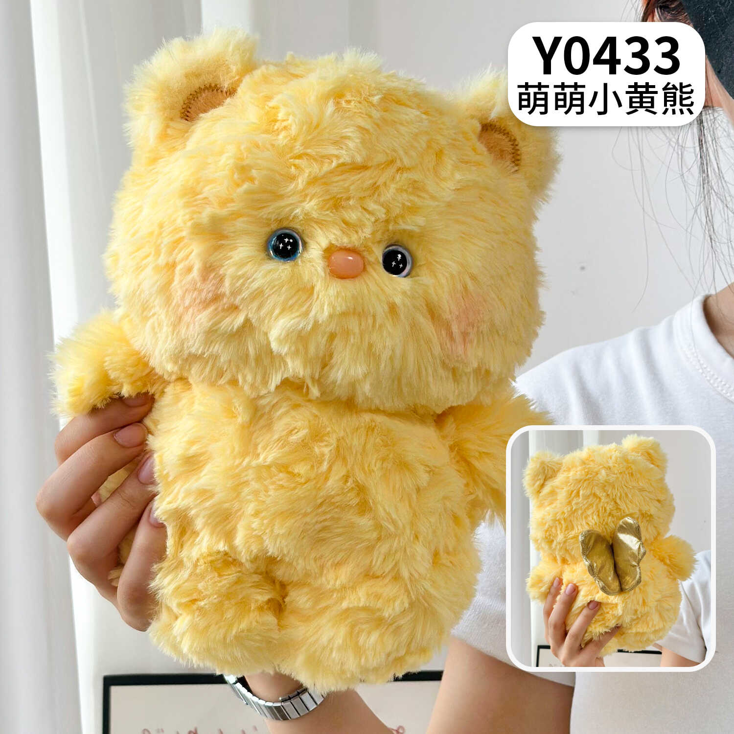 Y0433