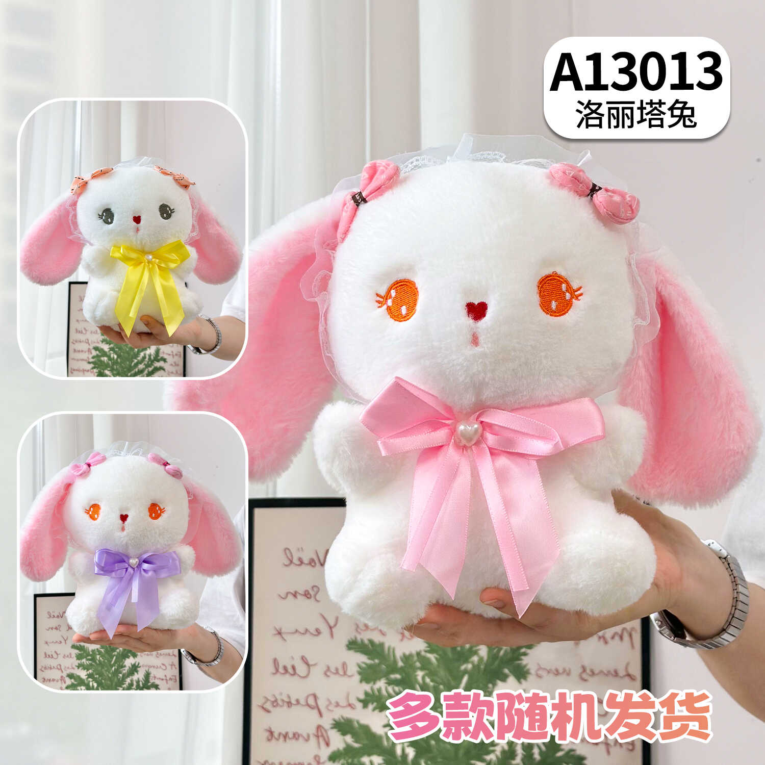 A13013