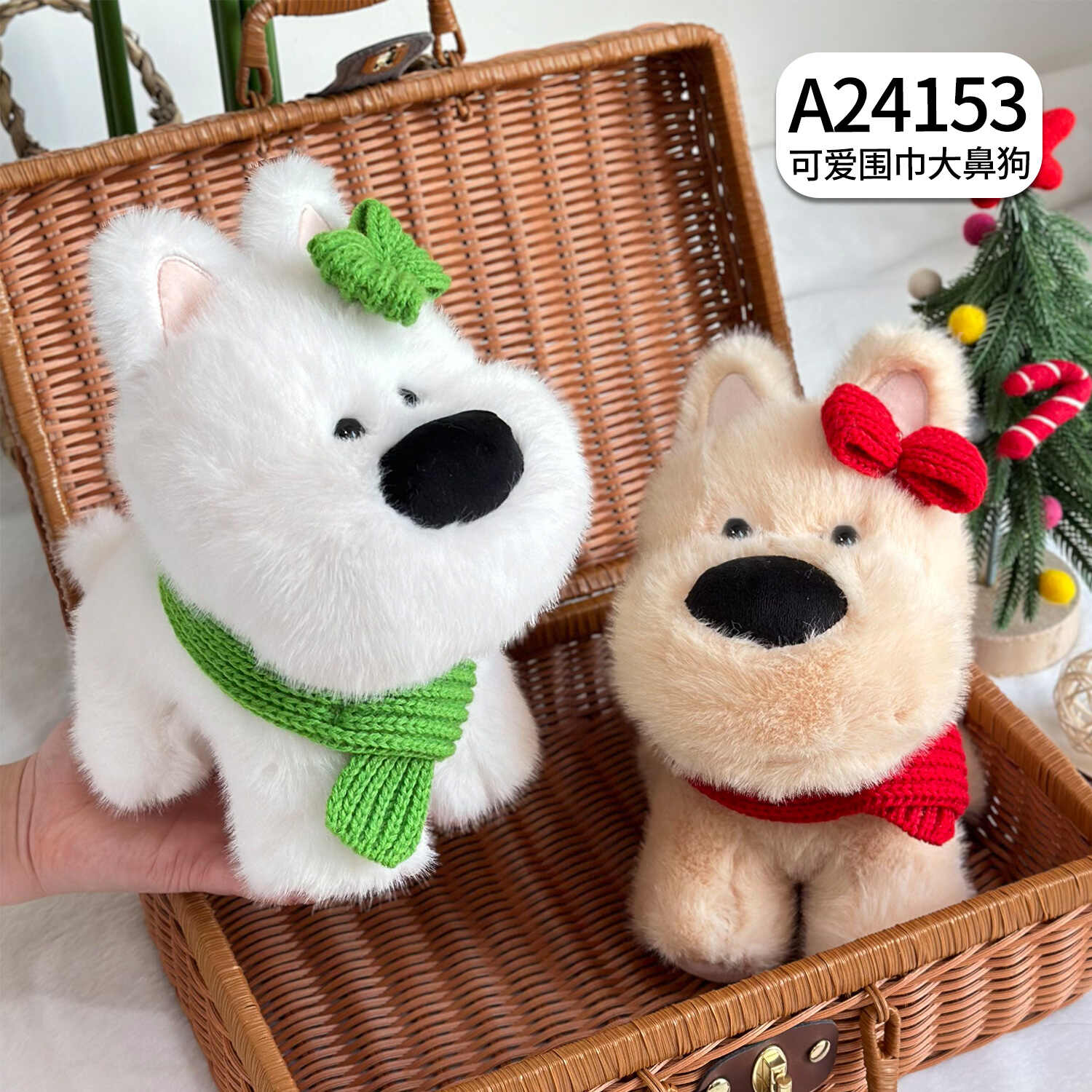 A24153