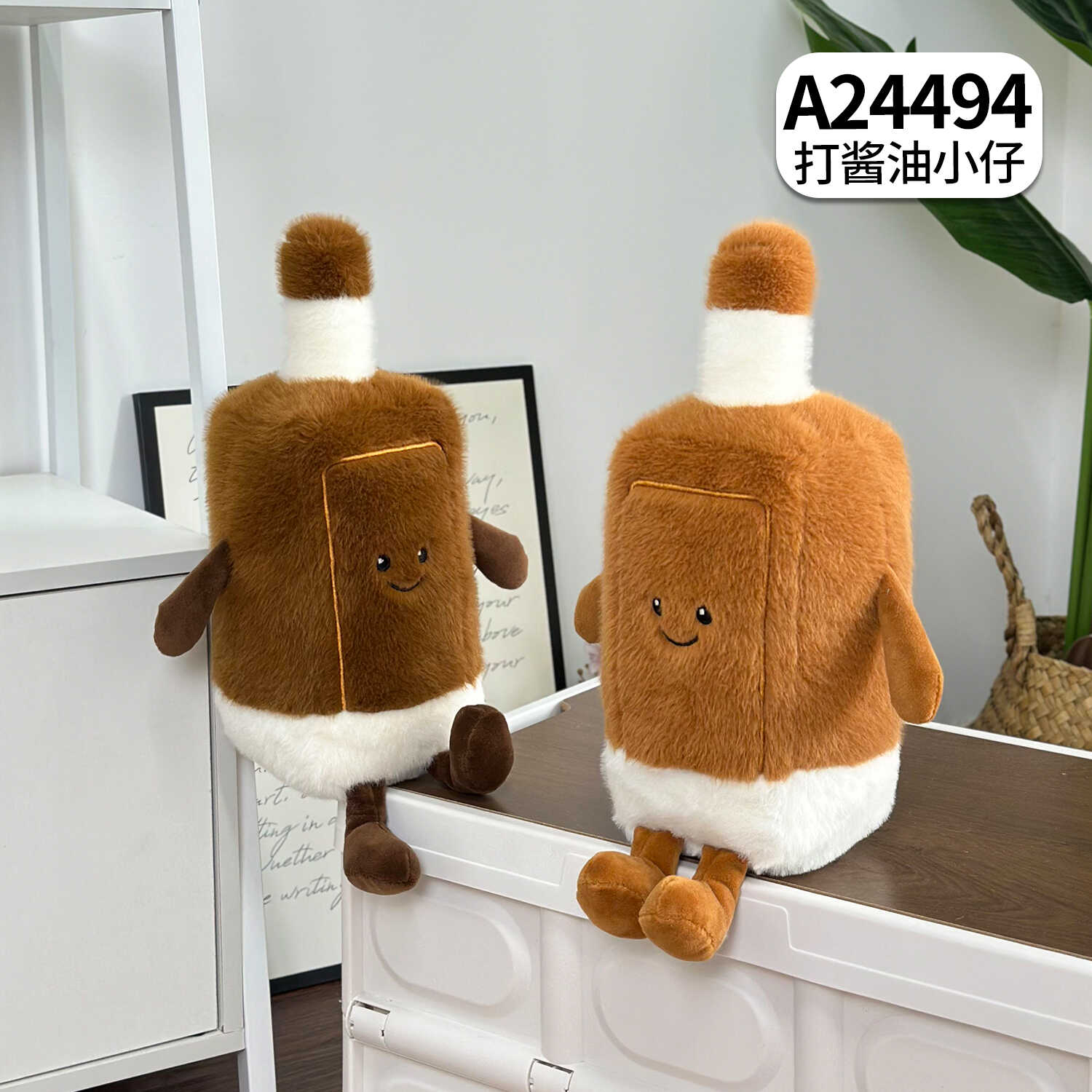 A24494