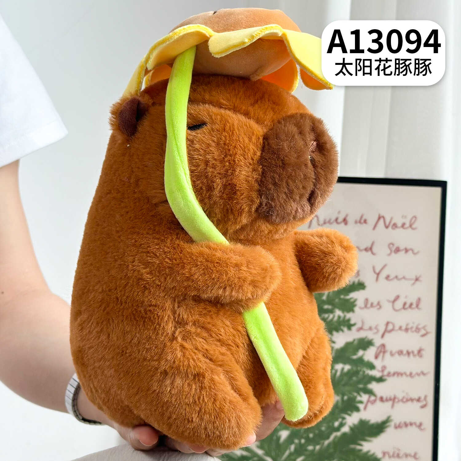 A13094