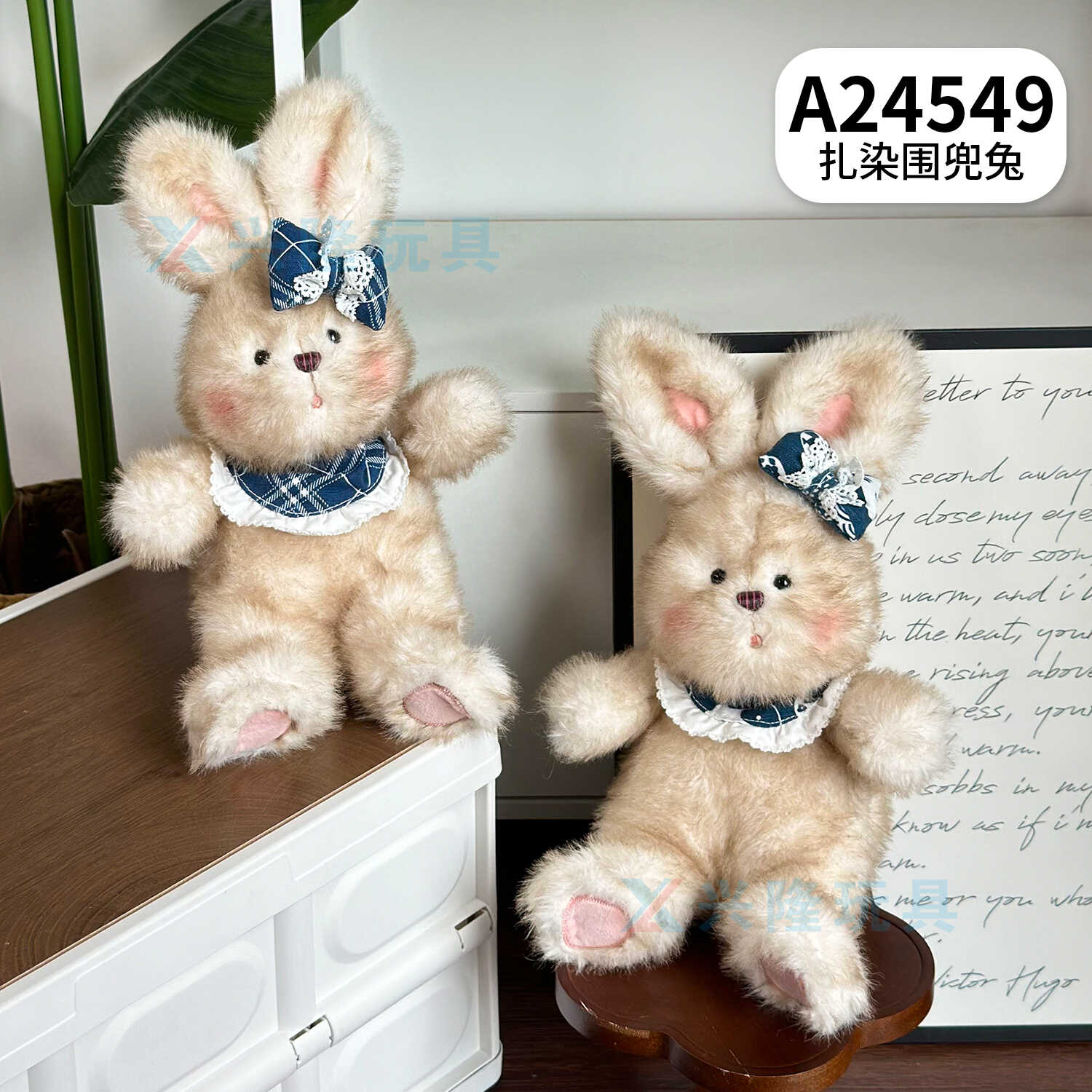 A24549