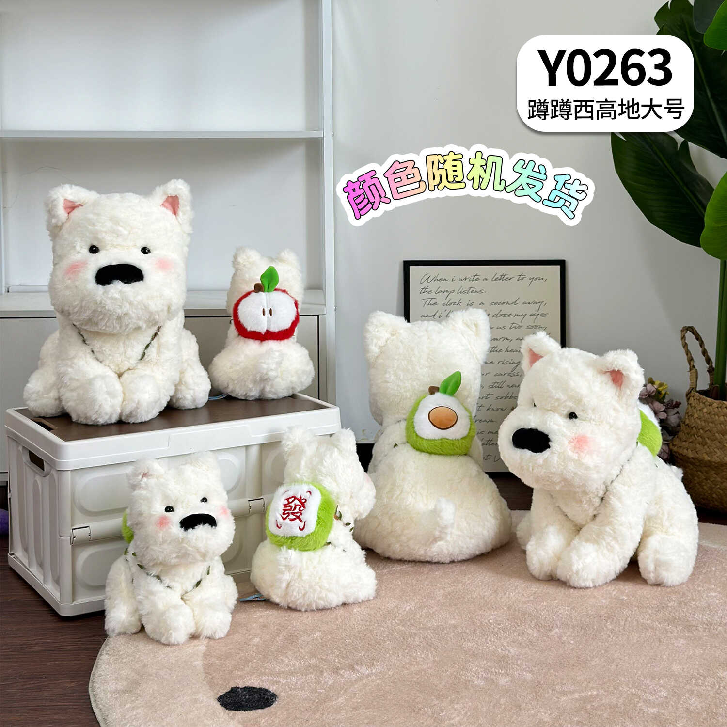 Y0263
