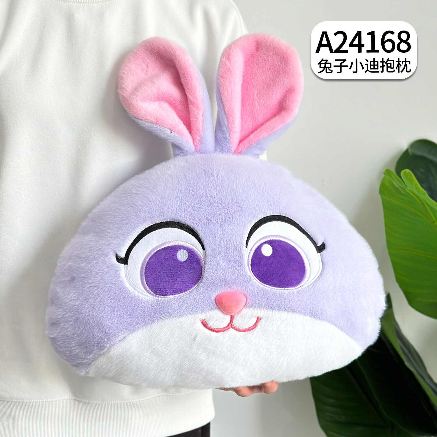 A24168
