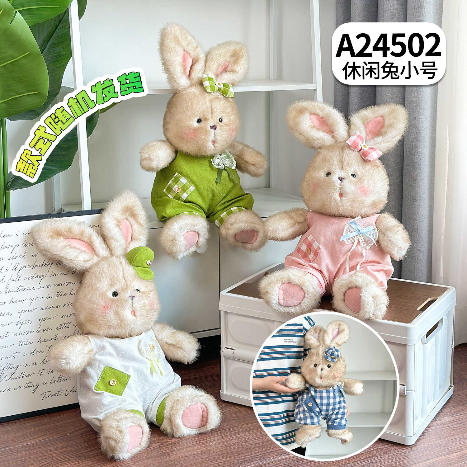 A24502