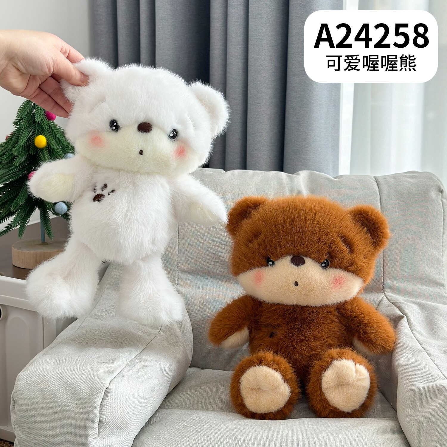 A24258