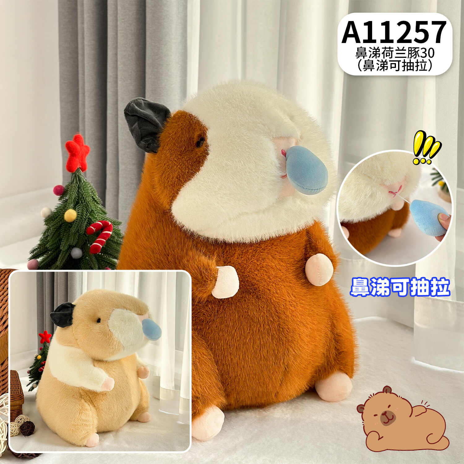 A11257