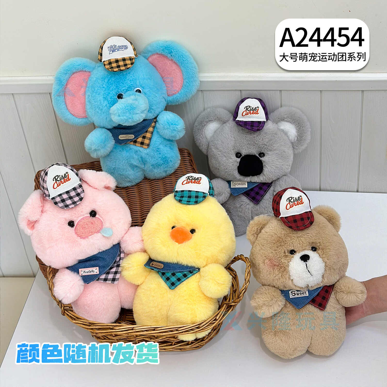 A24454