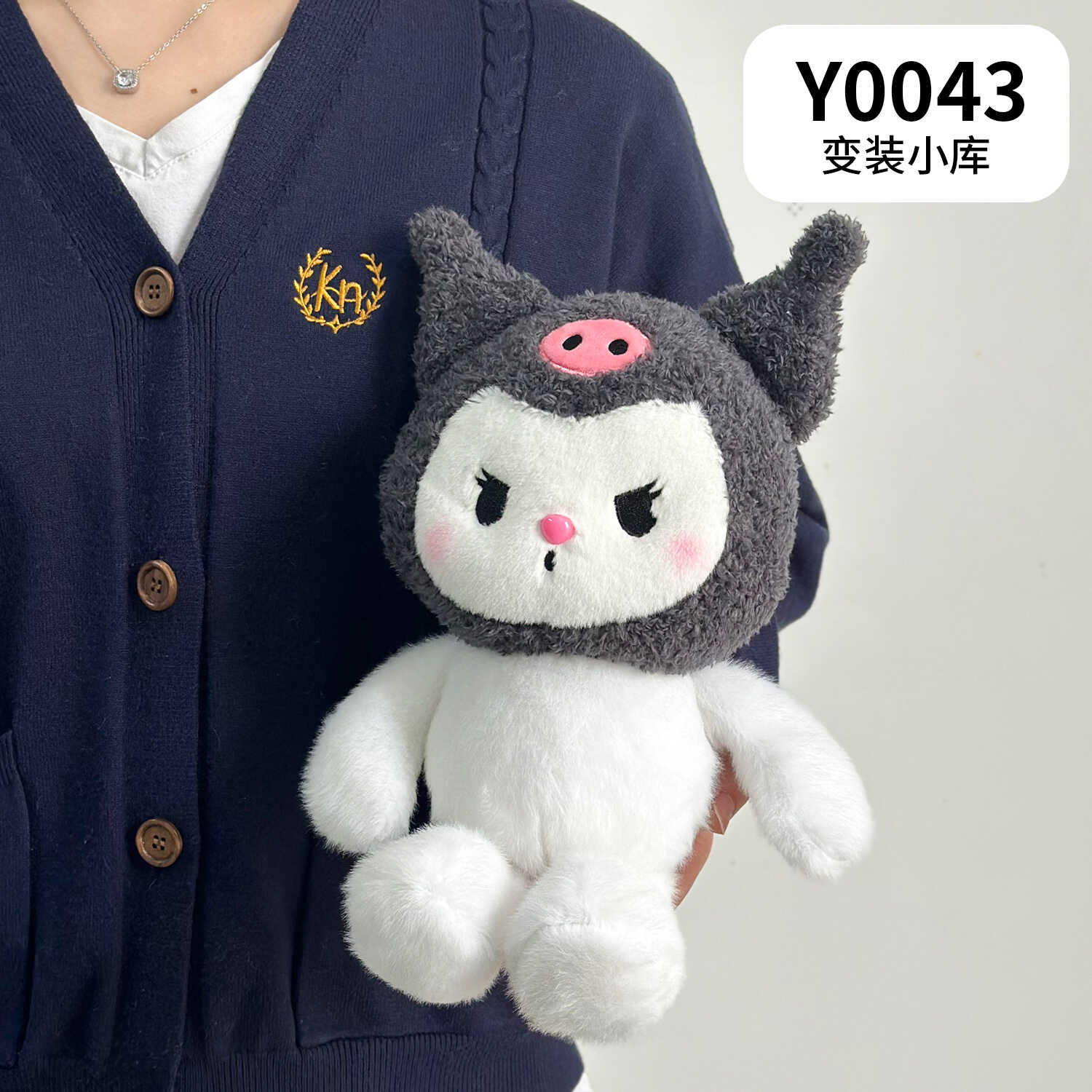 Y0043