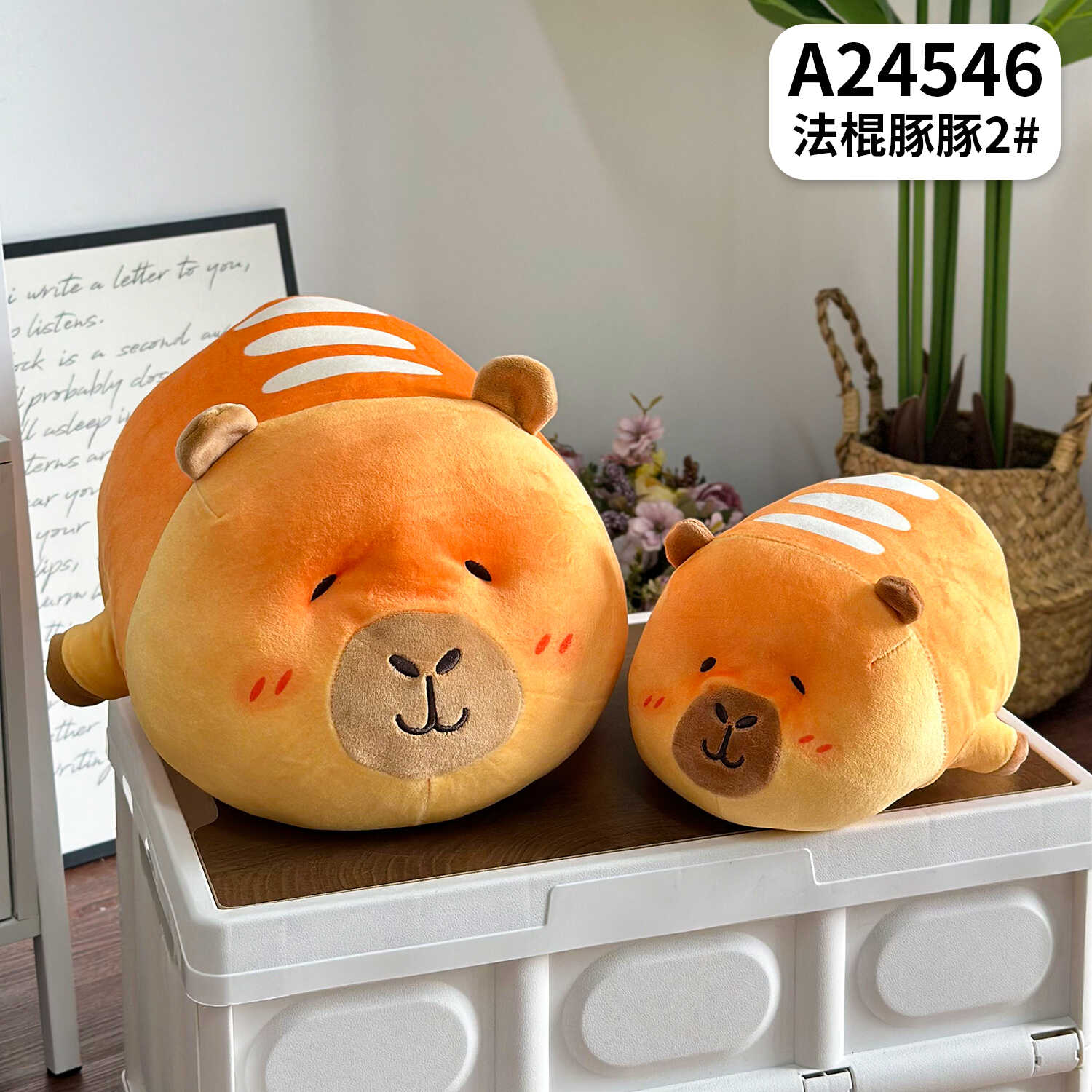 A24546