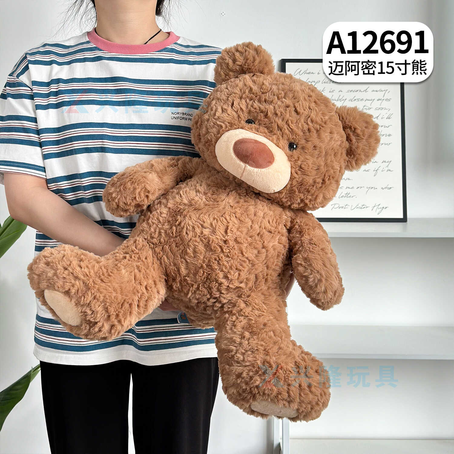 A12691