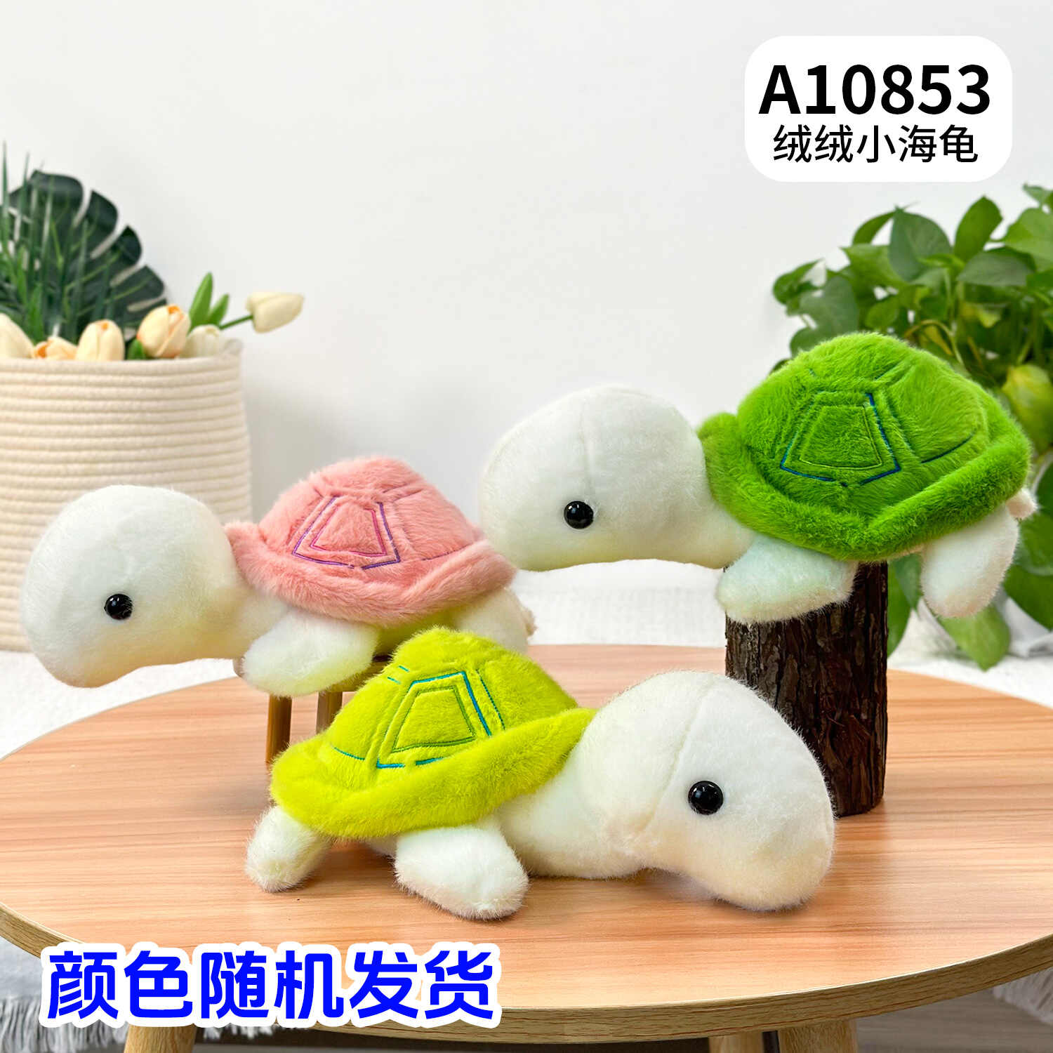 A10853
