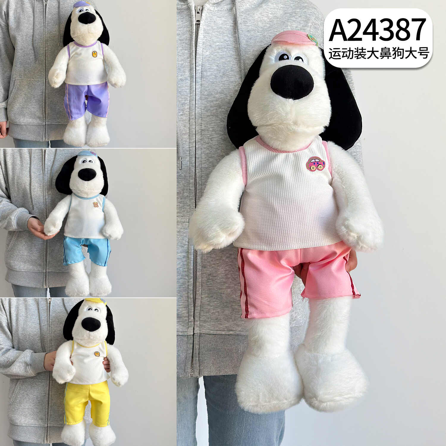 A24387