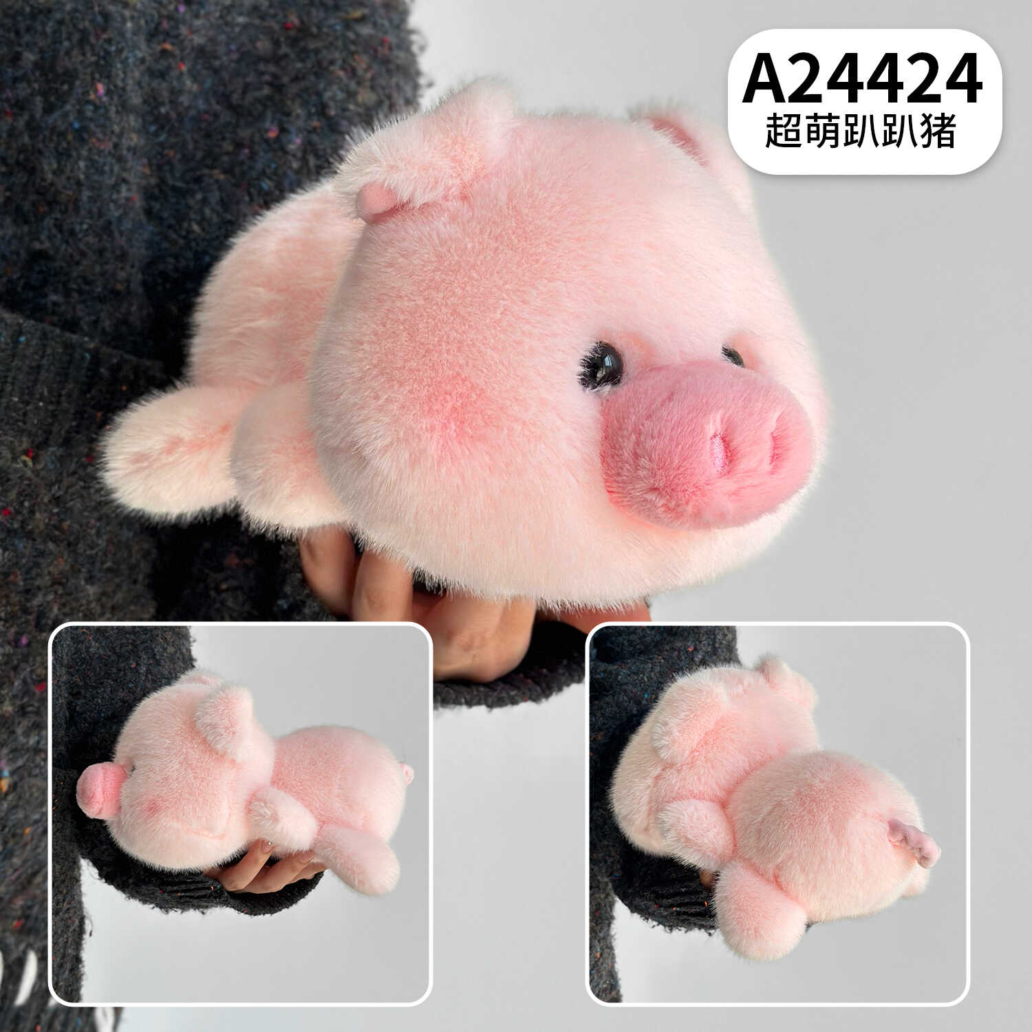 A24424