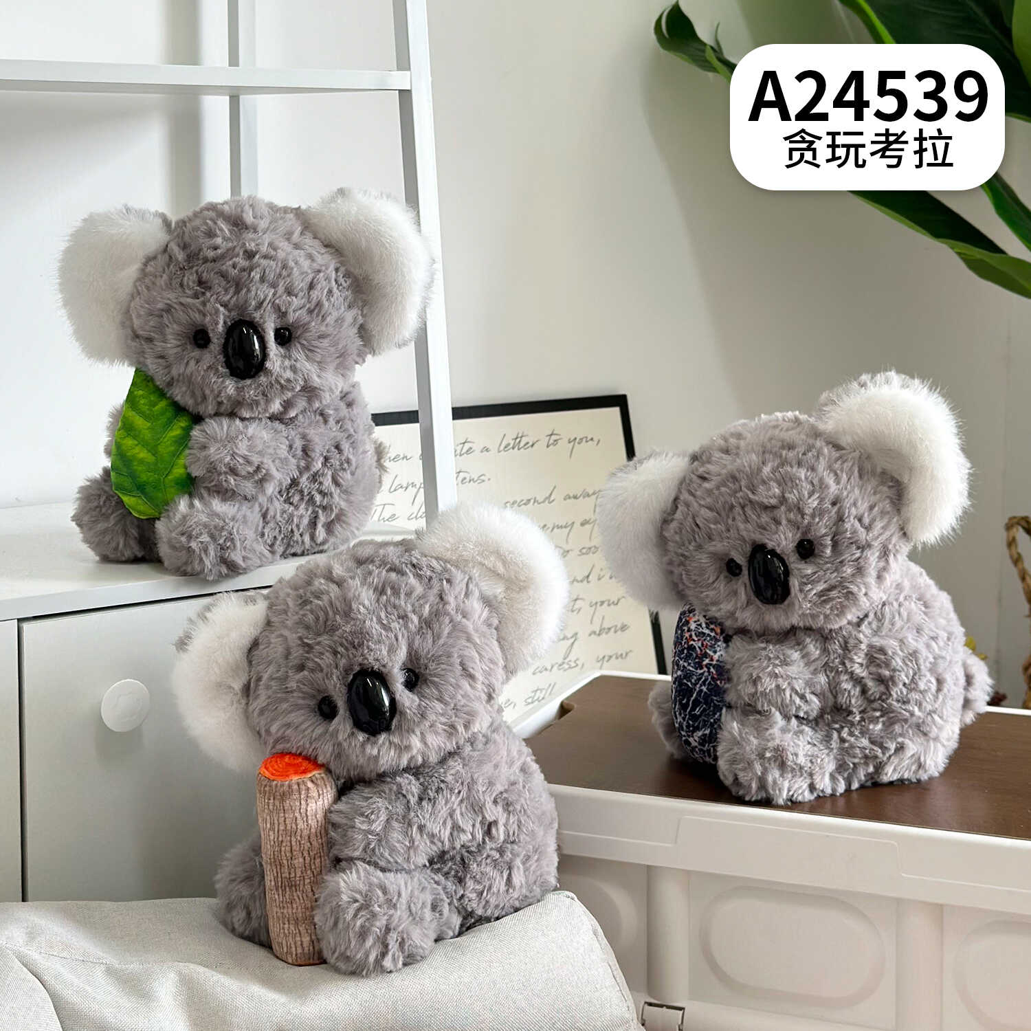 A24539