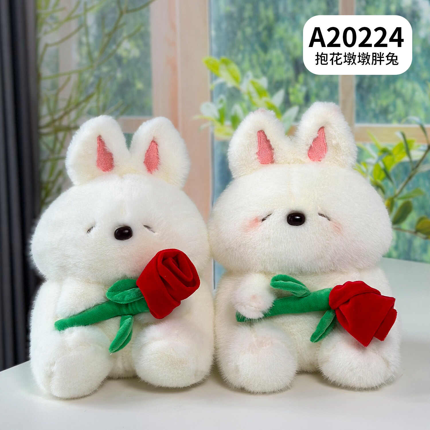 A20224