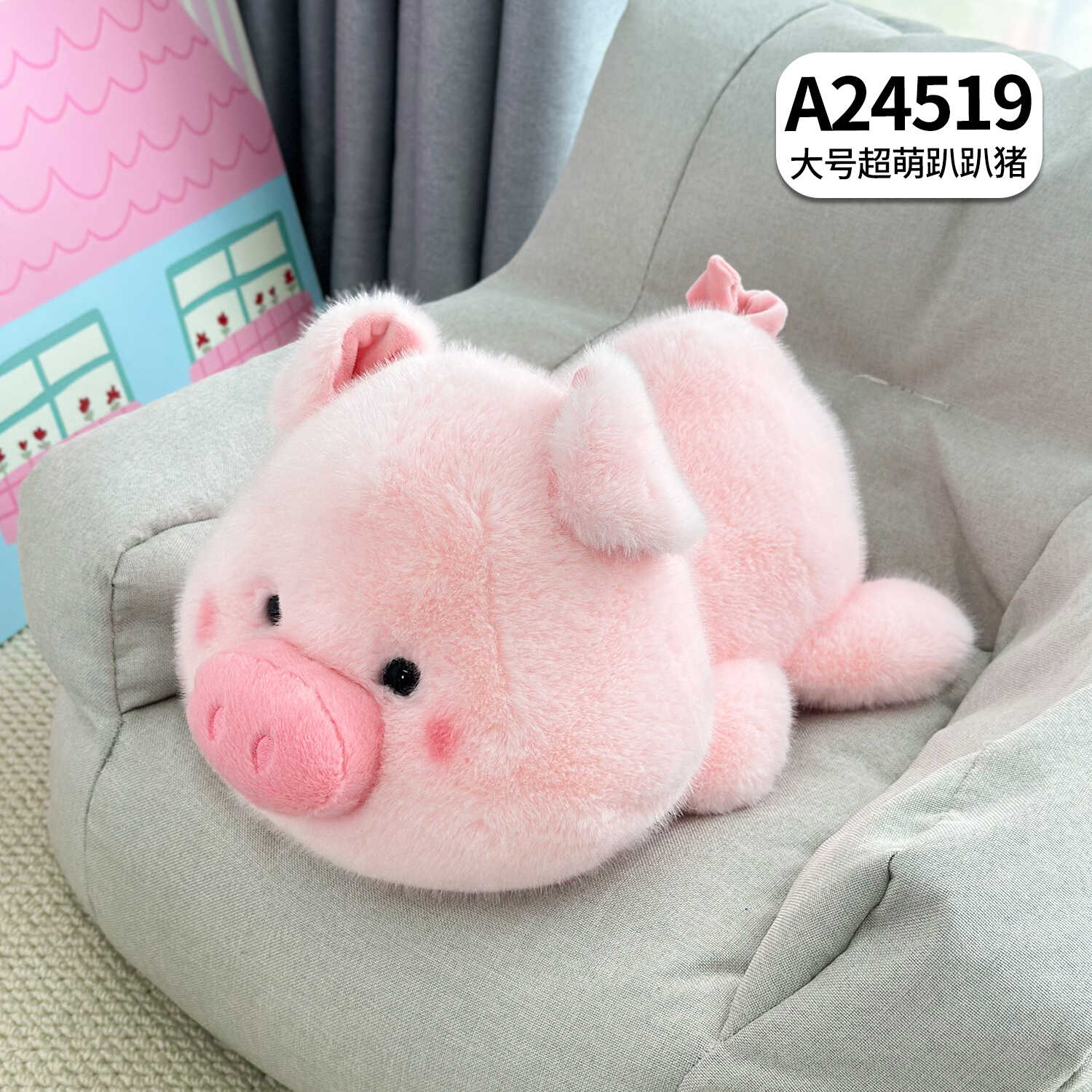 A24519