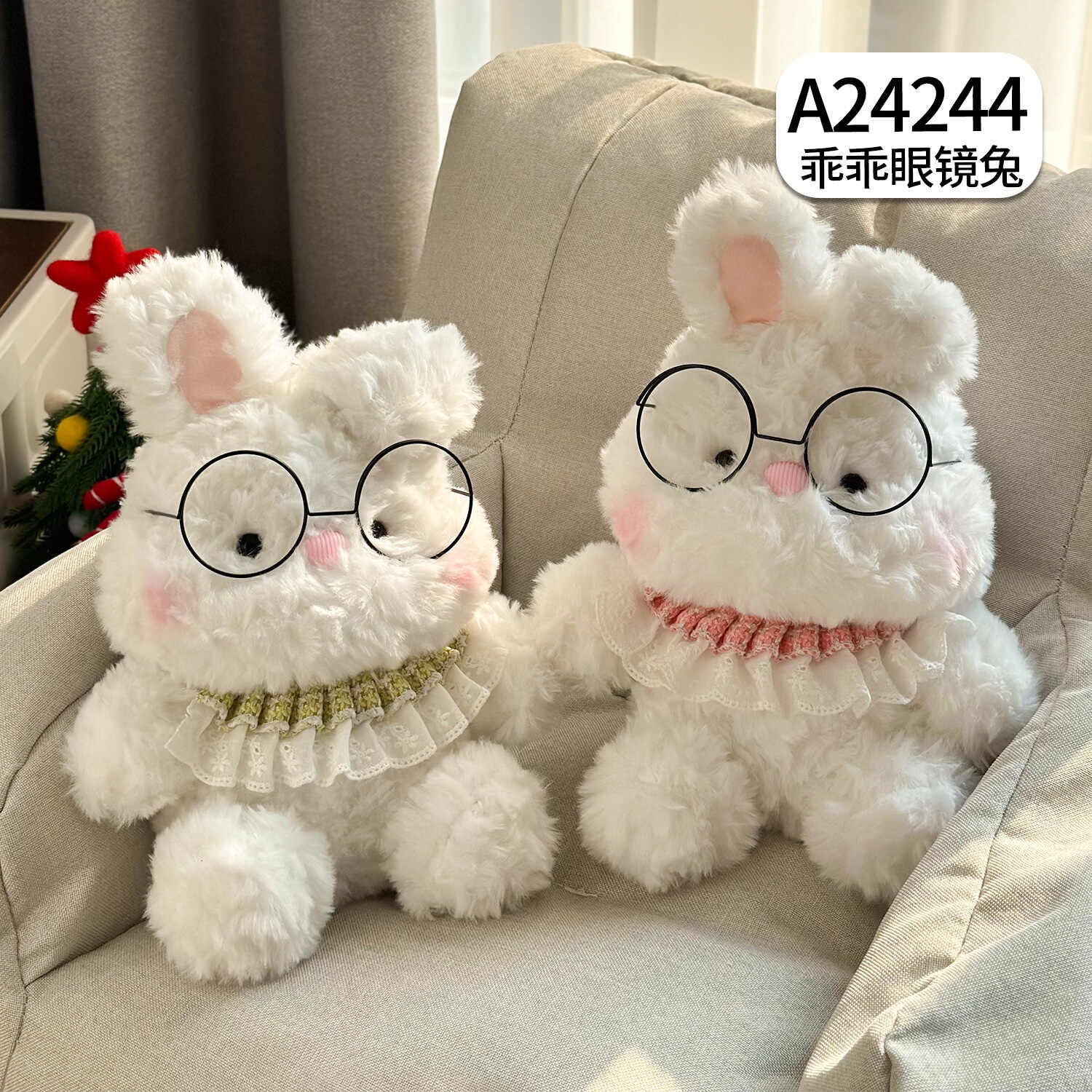 A24244