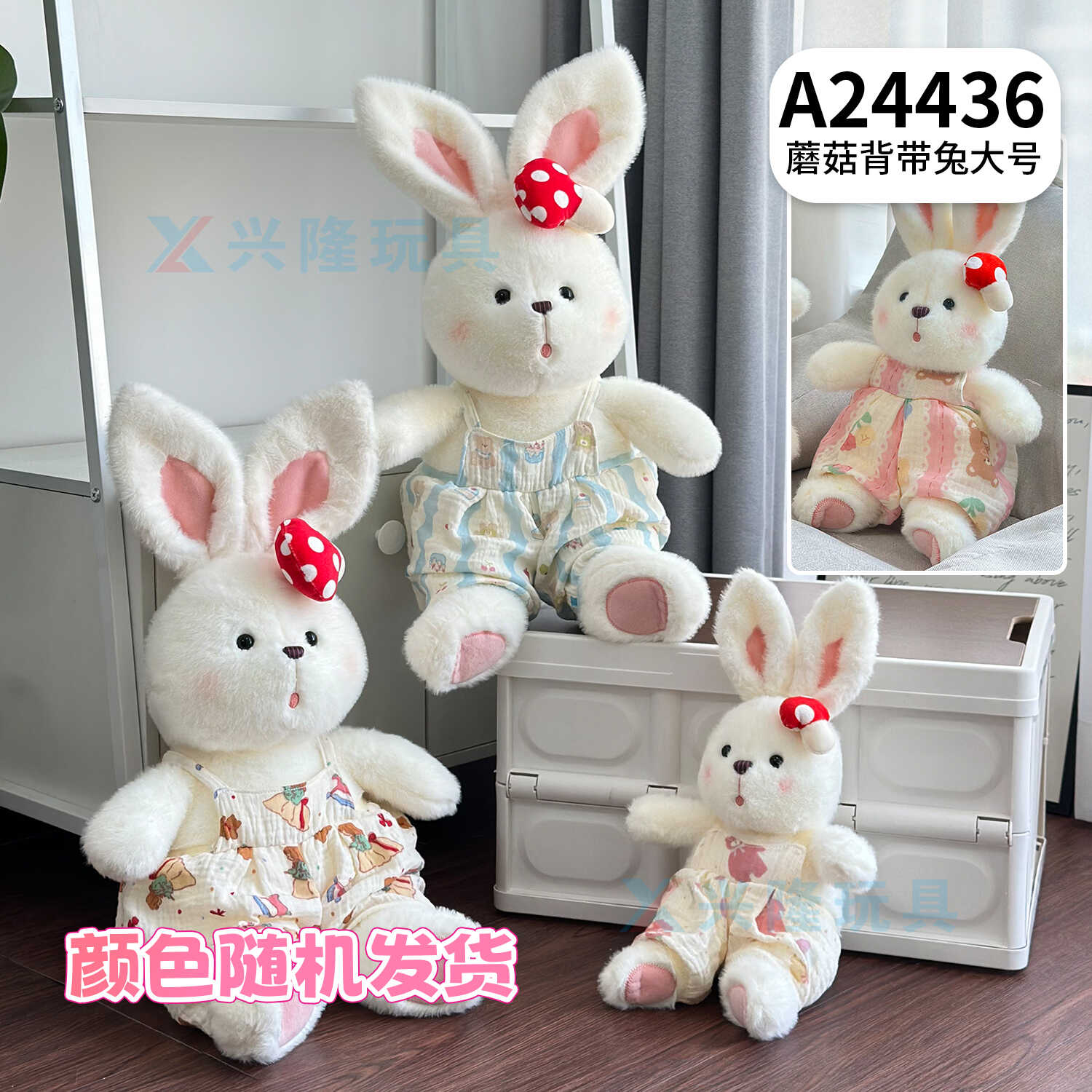 A24436