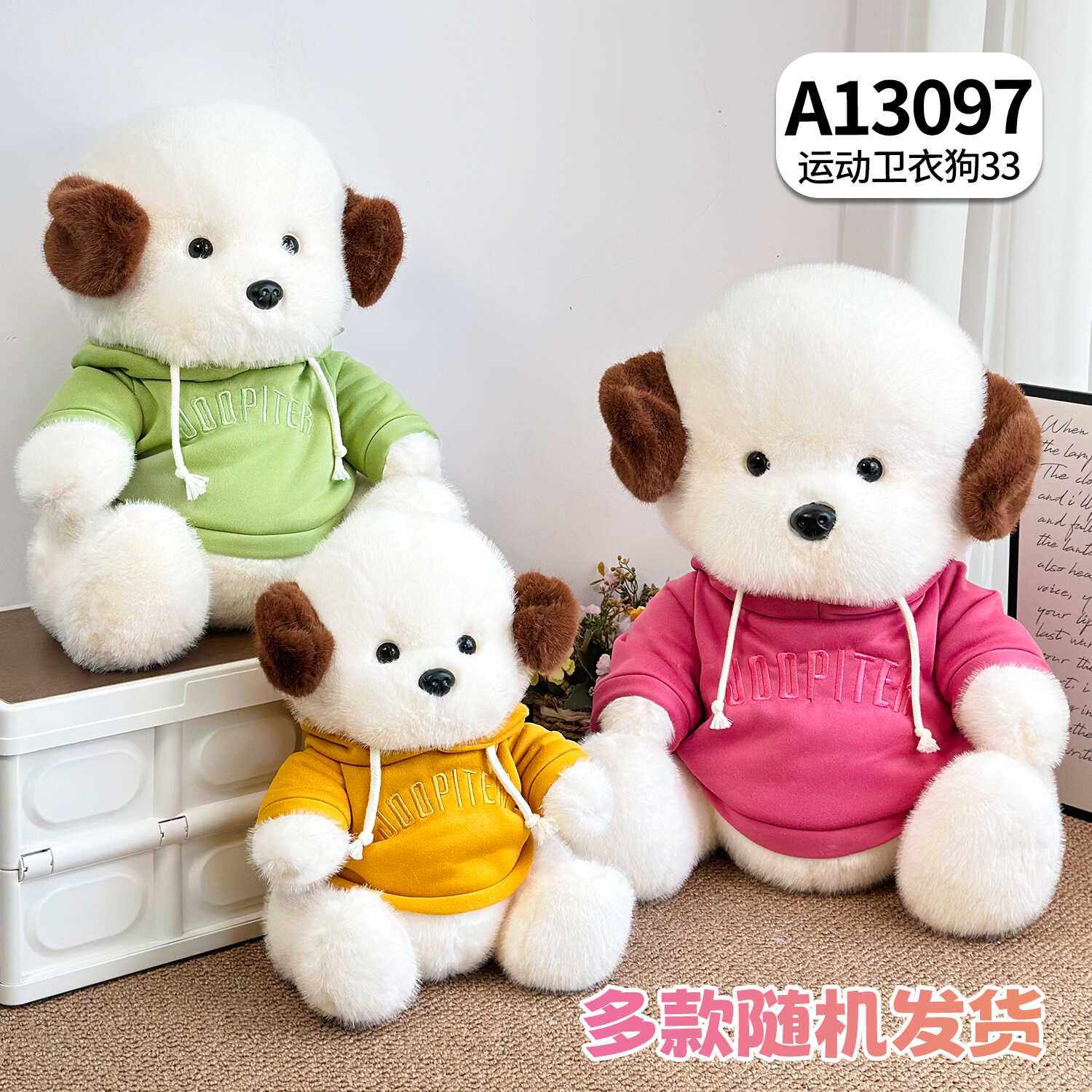 A13097