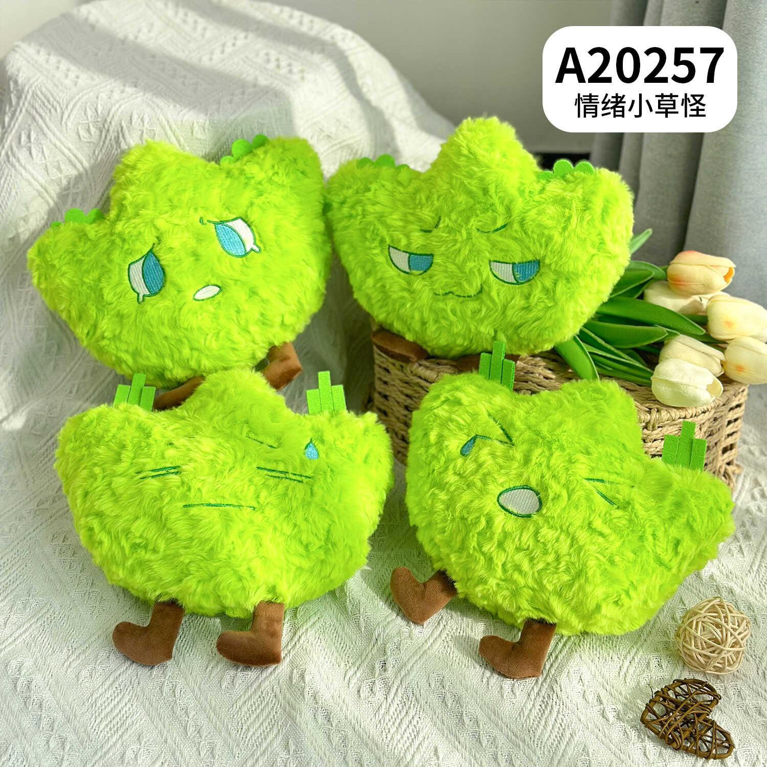 A20257