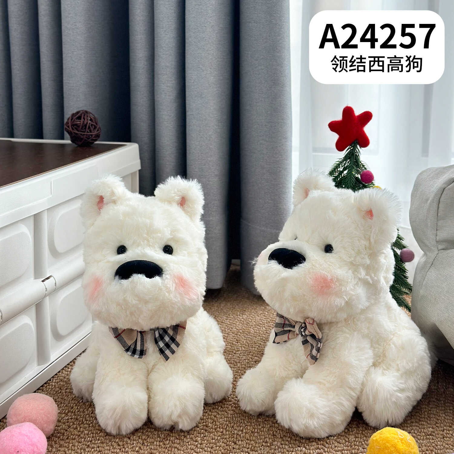 A24257