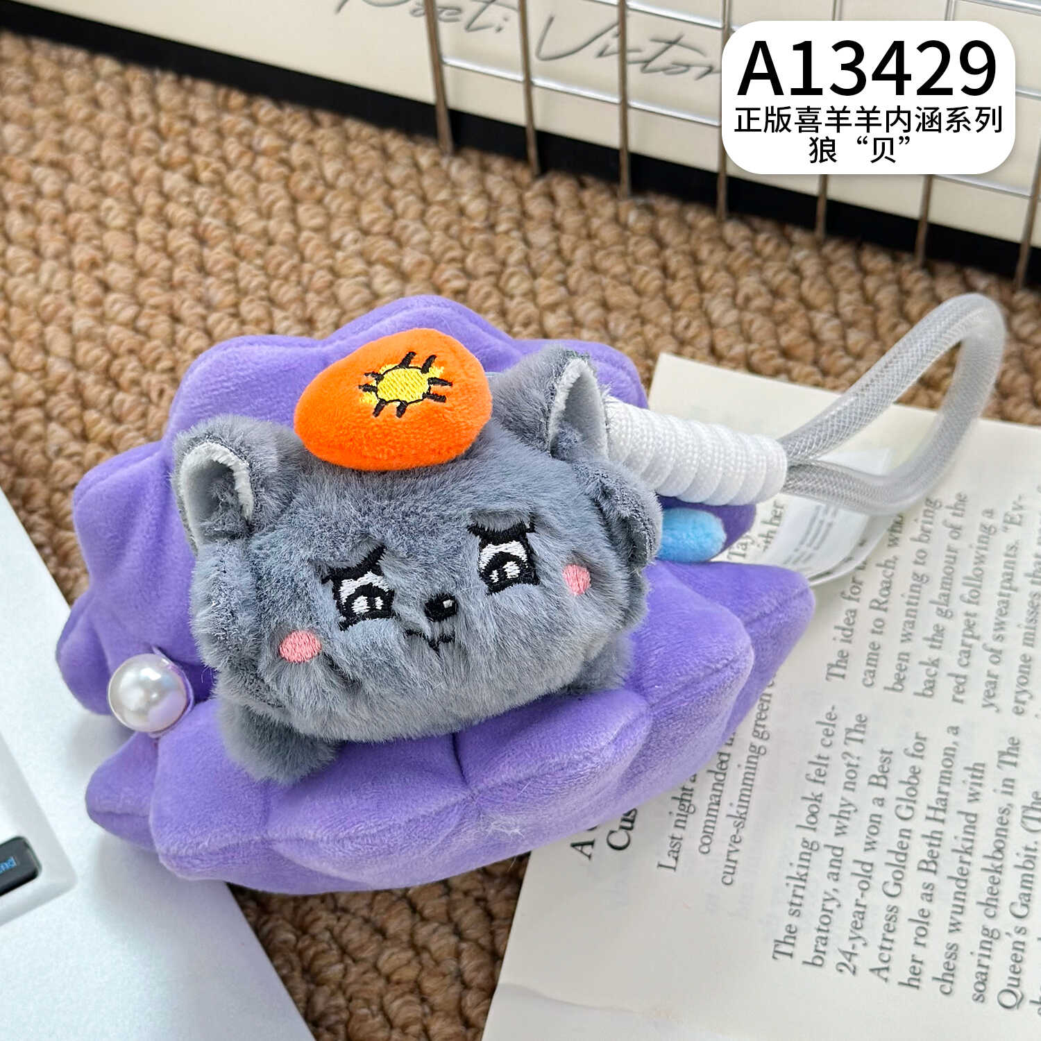 A13429
