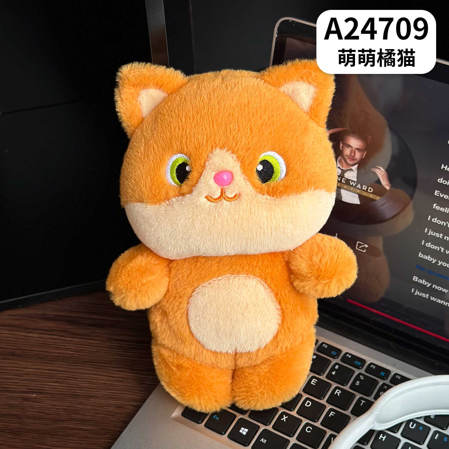 A24709