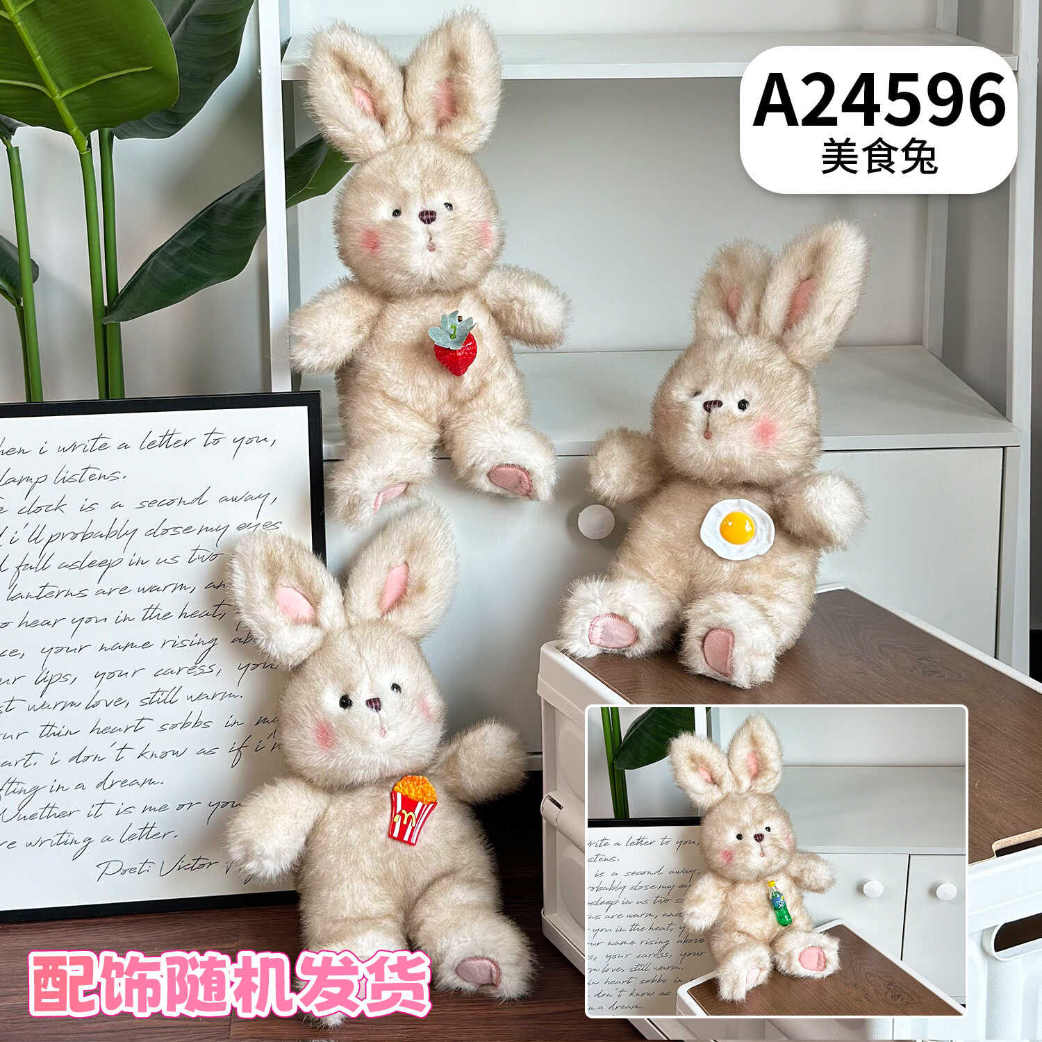 A24596