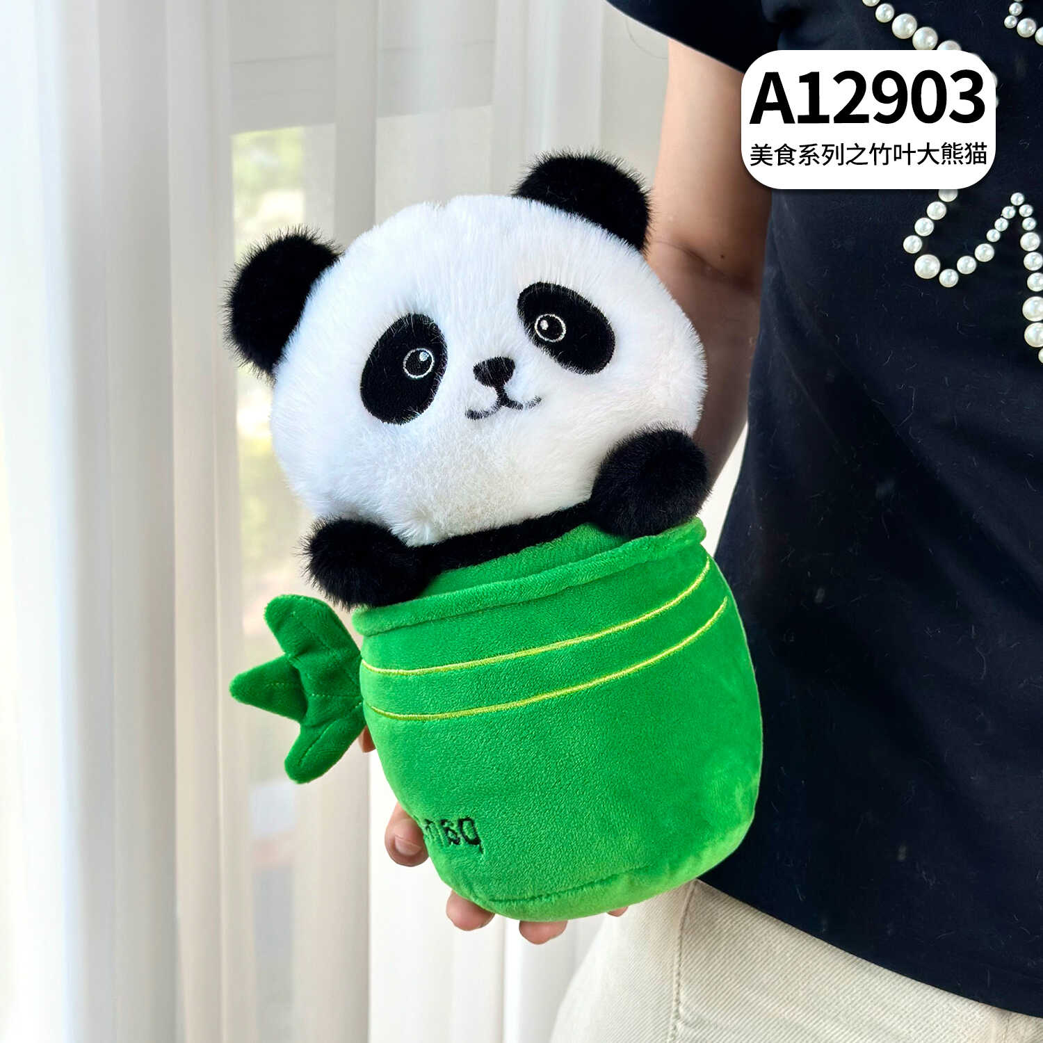 A12903