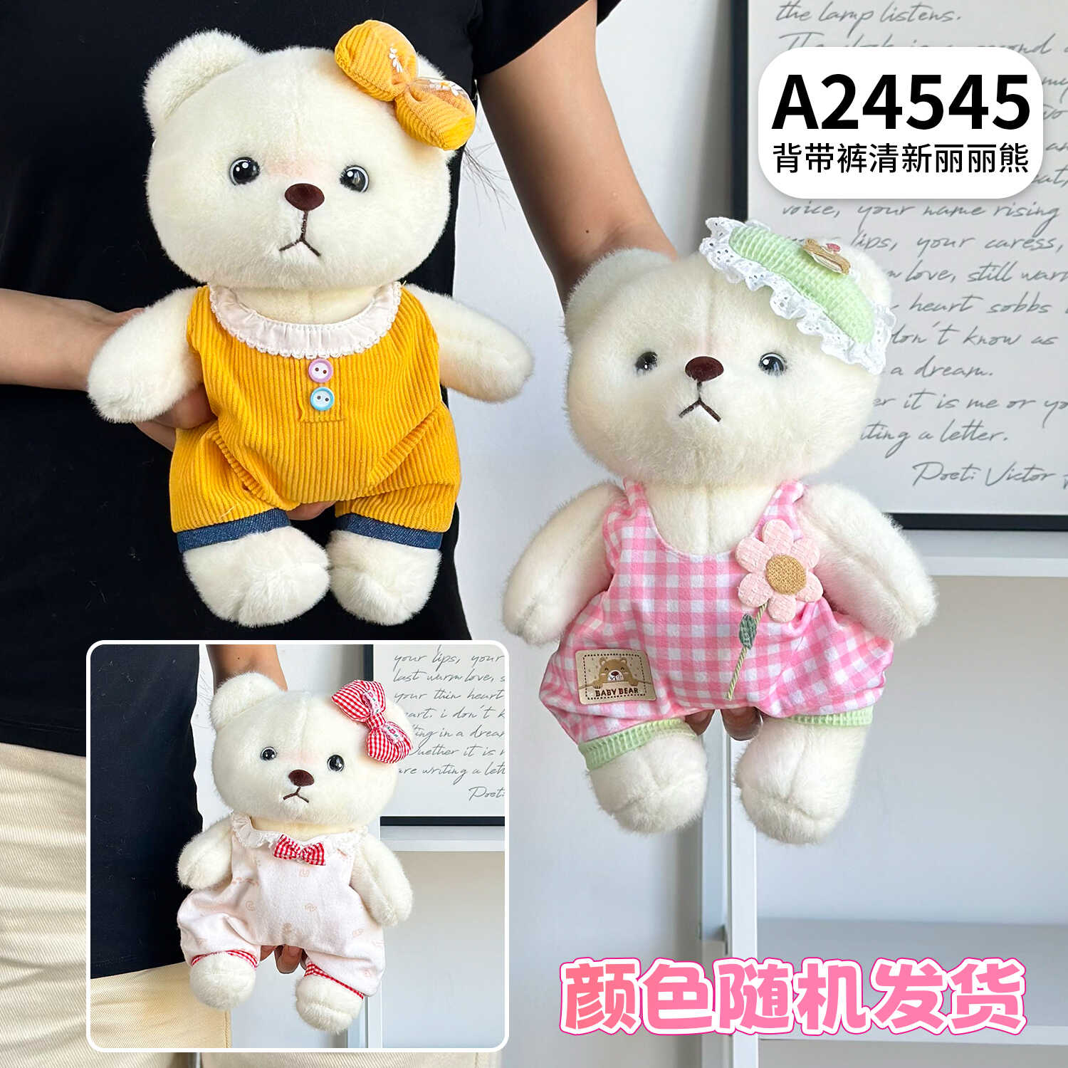 A24545