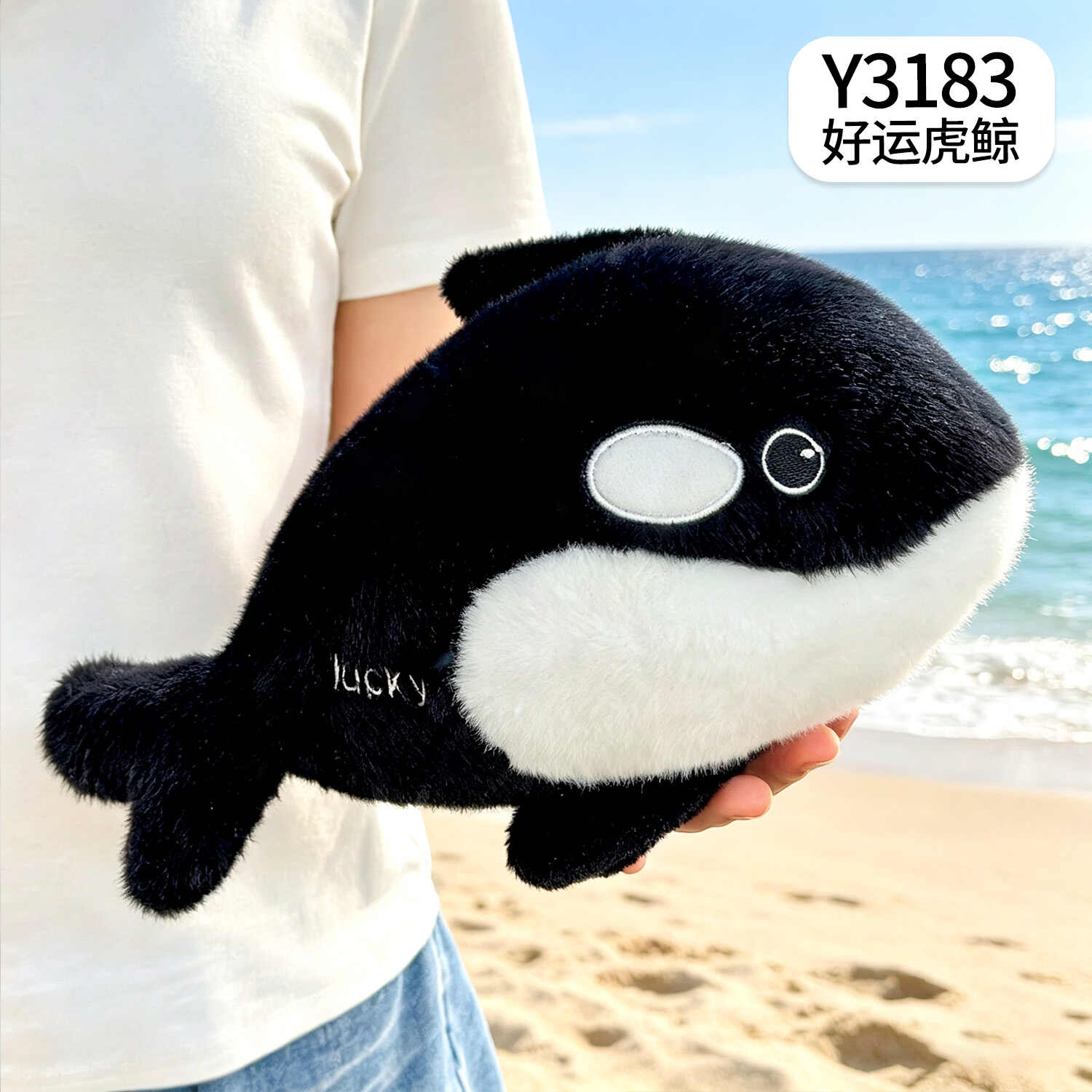 Y3183