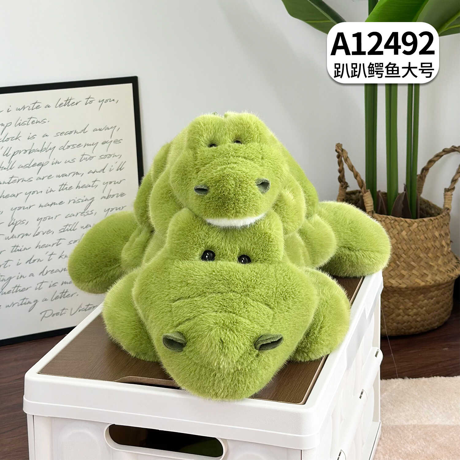 A12492