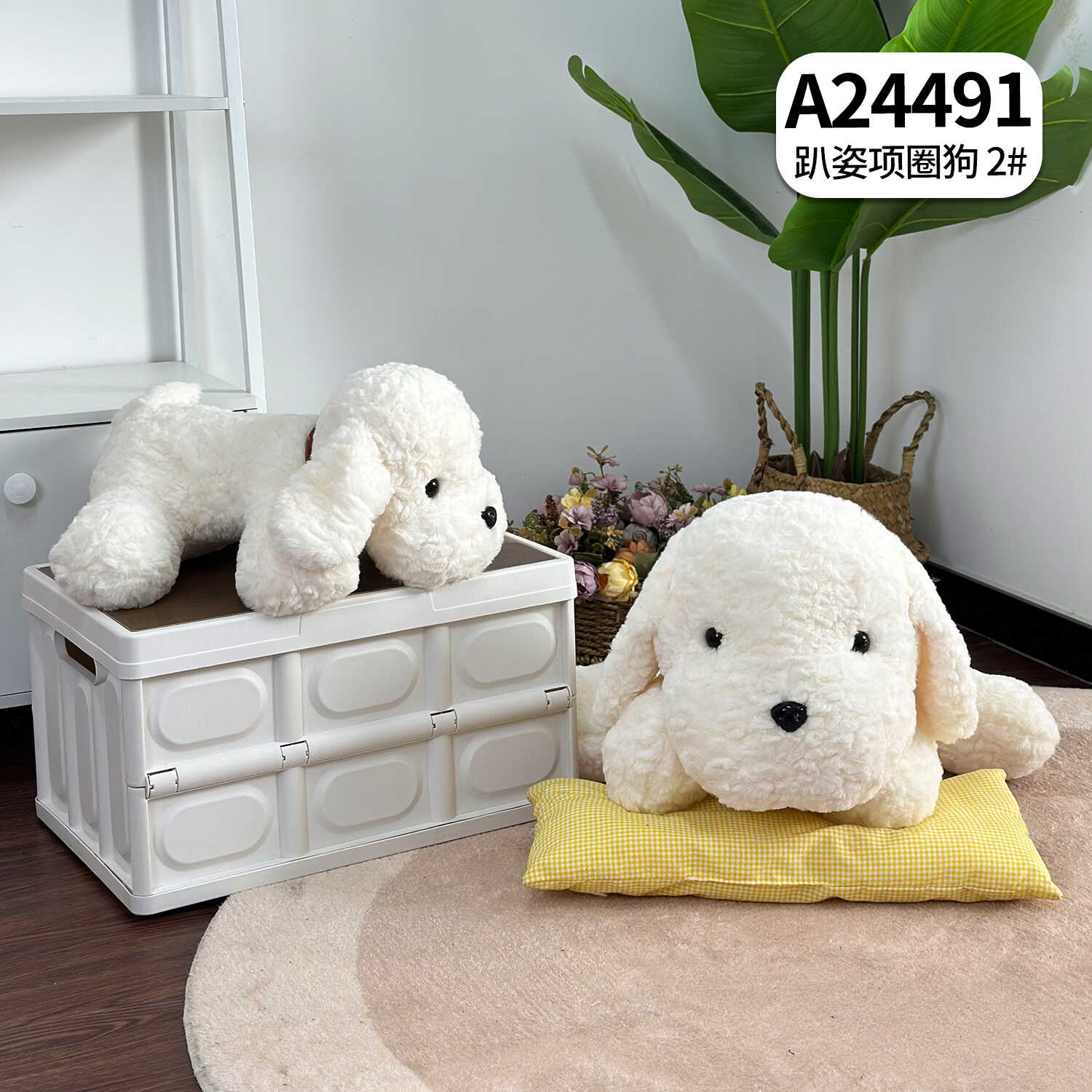 A24491