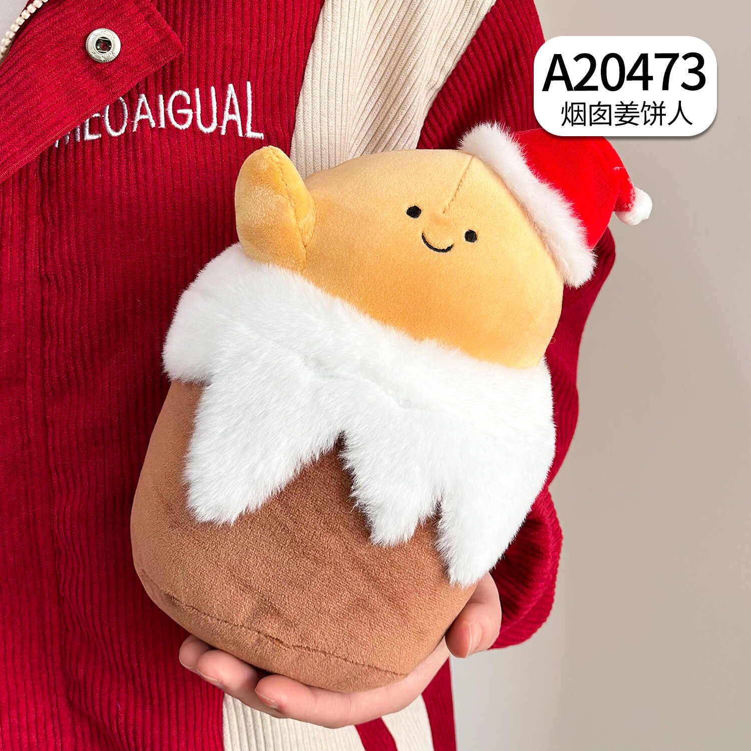 A20473