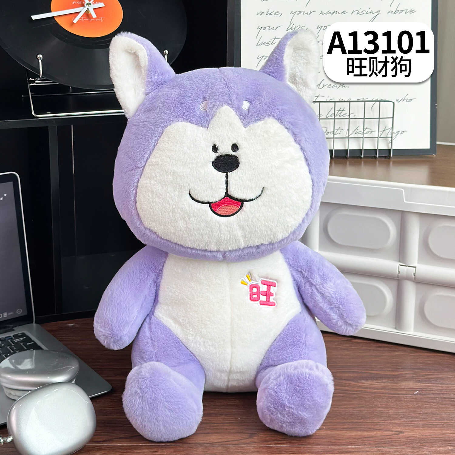 A13101