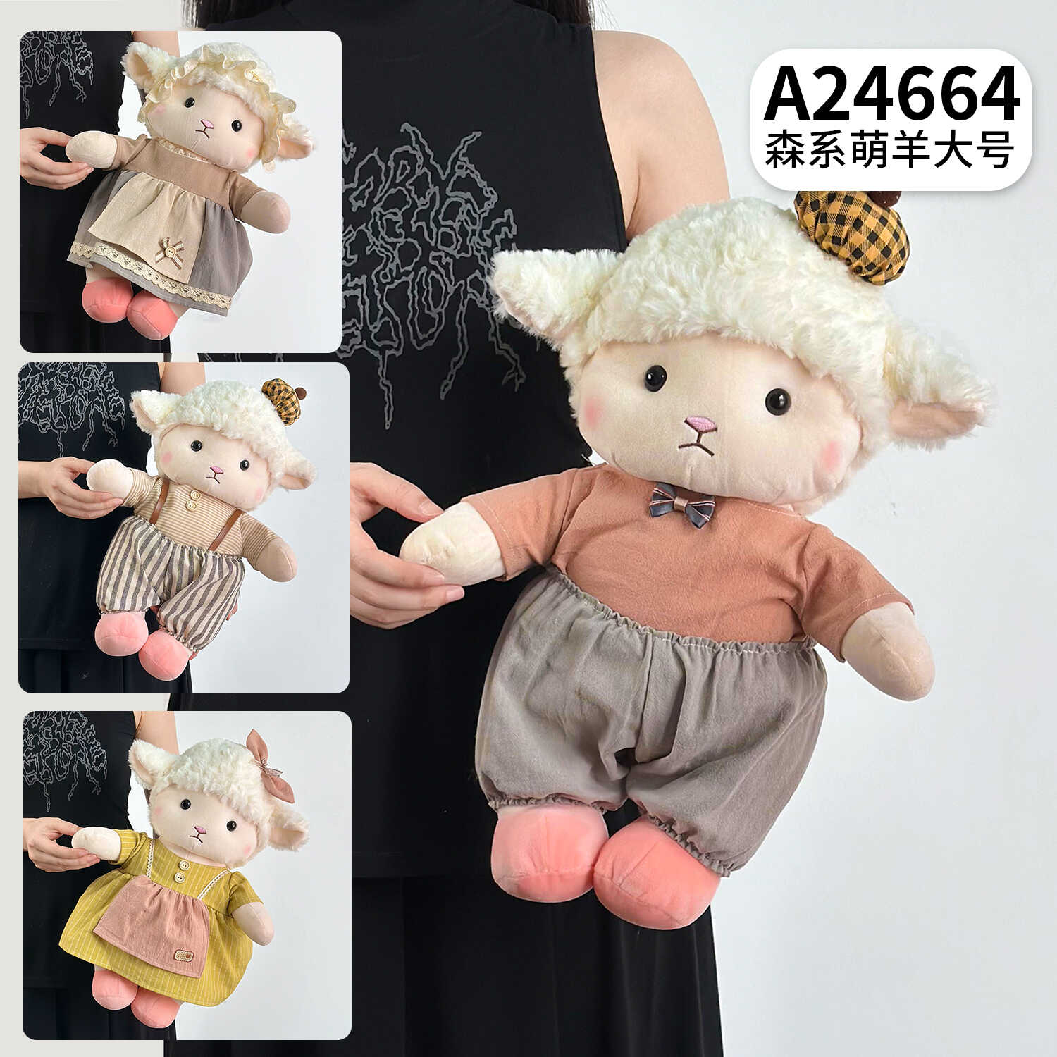 A24664