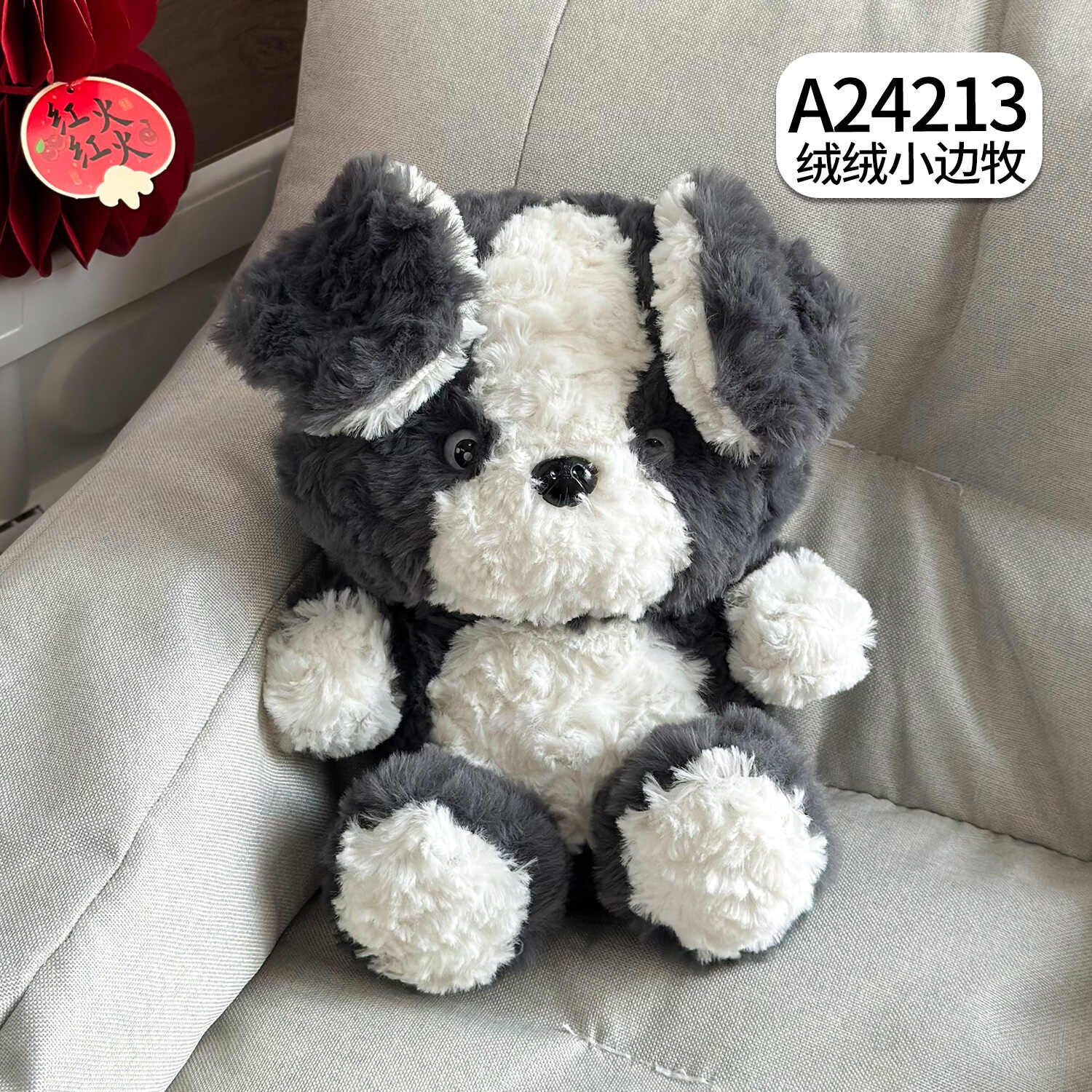 A24213