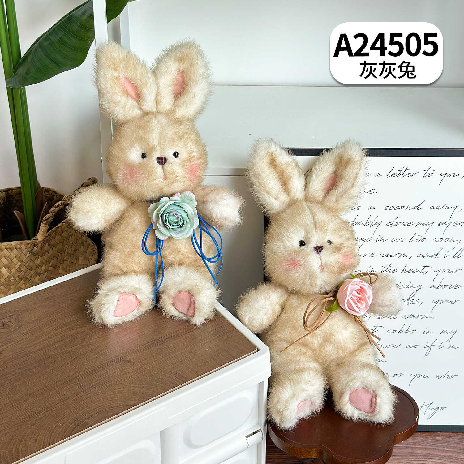 A24505