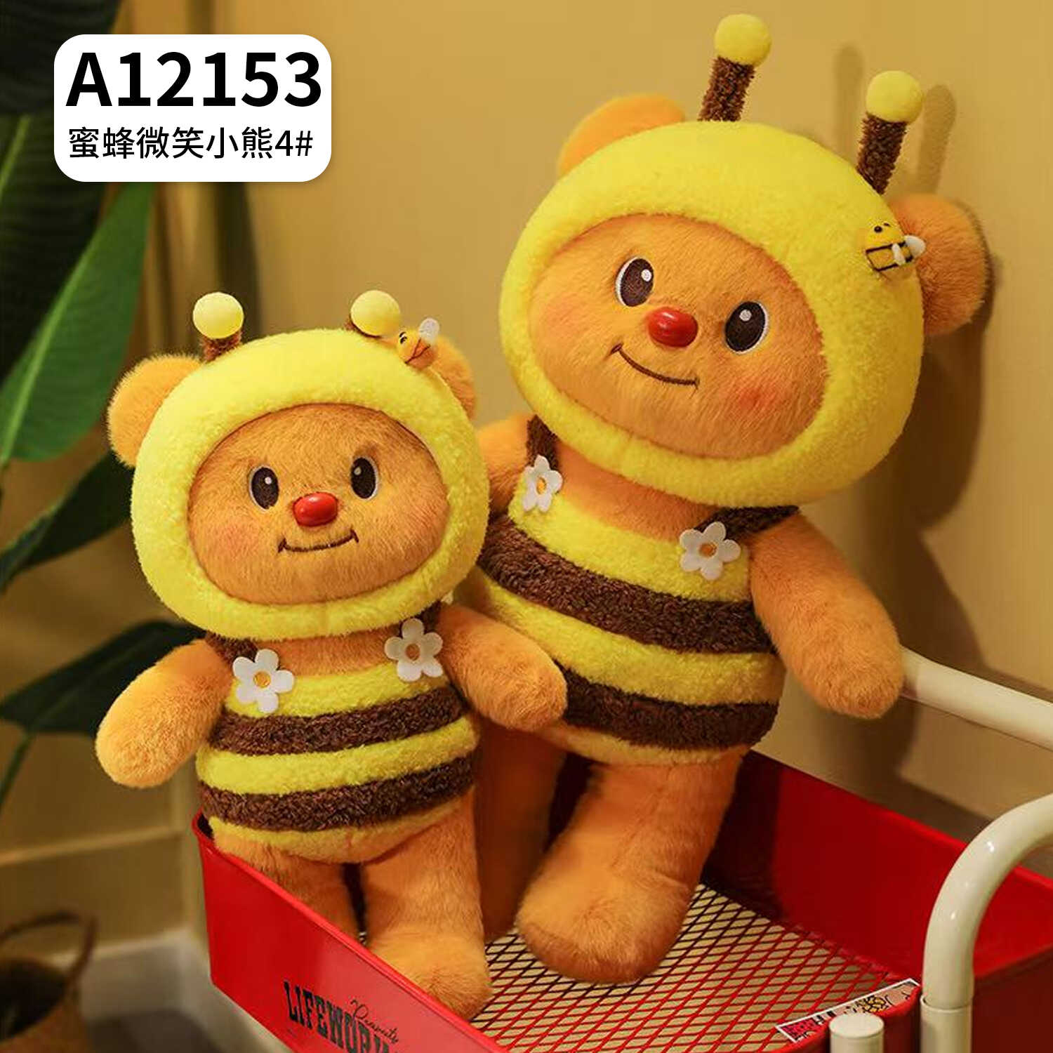 A12153