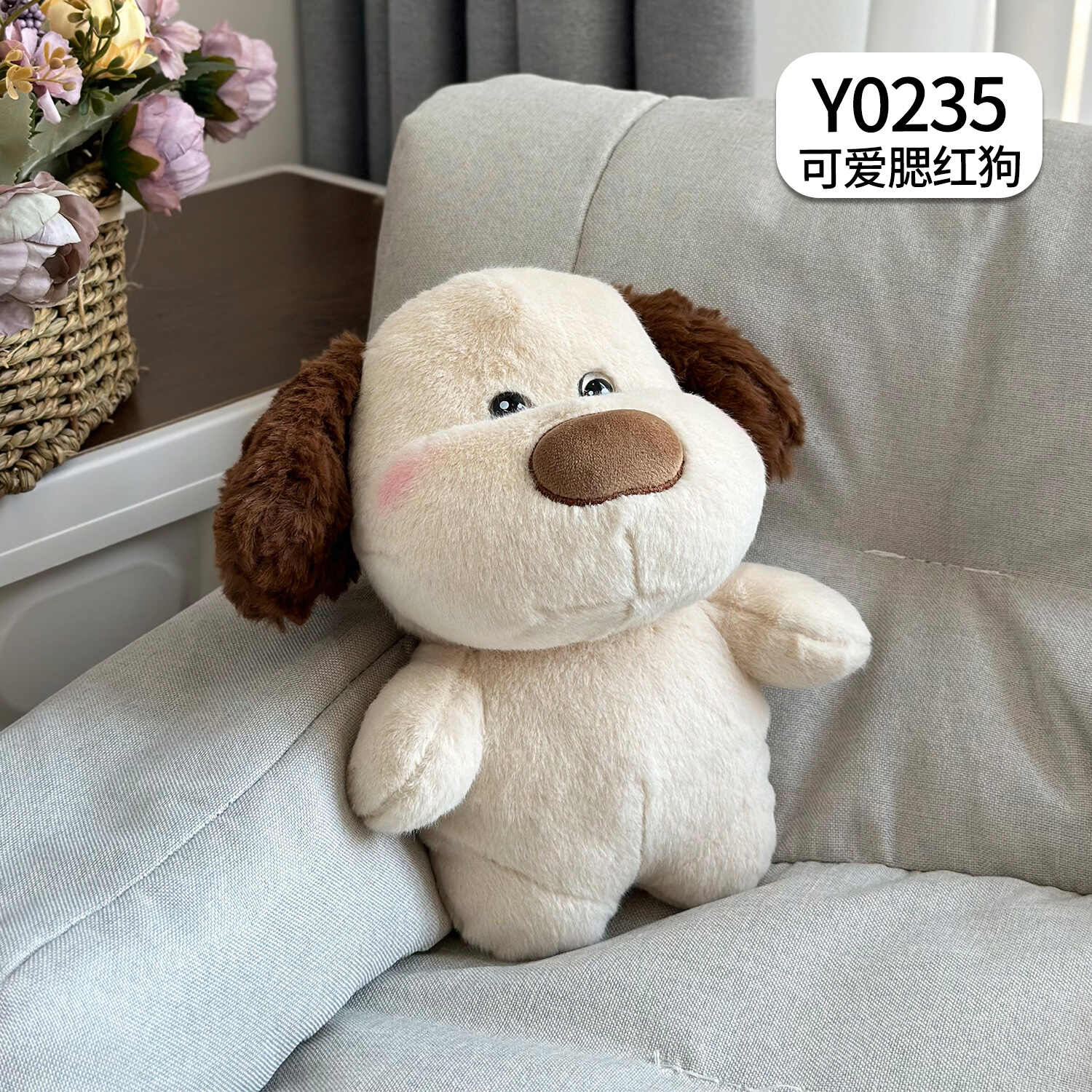 Y0235