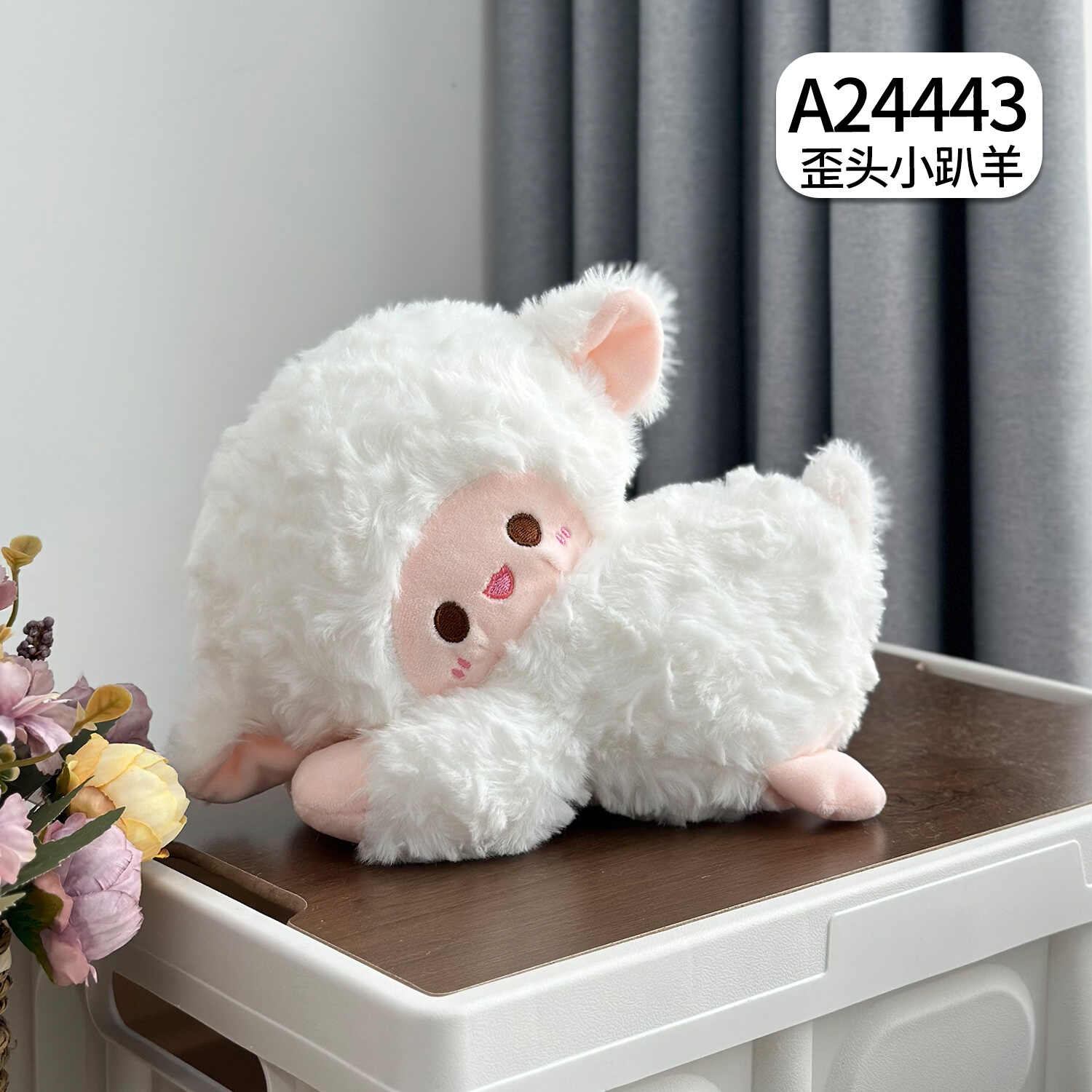 A24443