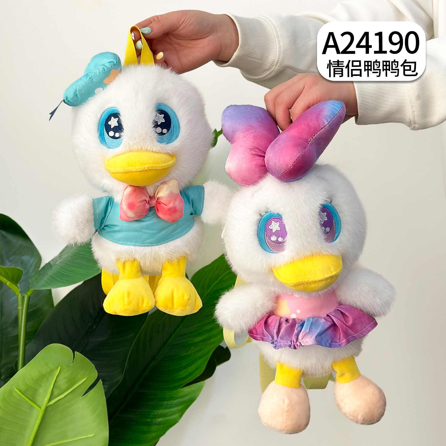 A24190